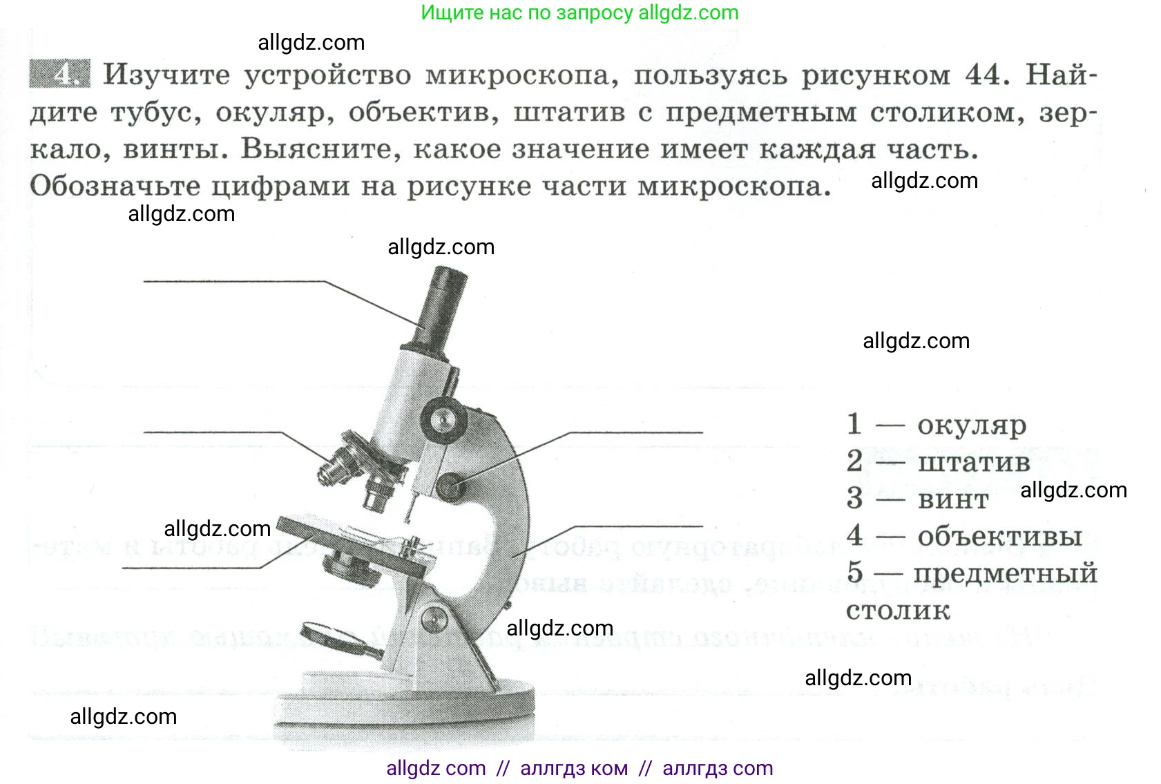 Биология, 5 класс рабочая тетрадь, авторы: Пасечник Владимир Васильевич, Суматохин Сергей Витальевич, Швецов Глеб Геннадьевич, Гапонюк Зоя Георгиевна, Косарькова Марина Викторовна, издательство Просвещение, Москва, 2023, оранжевого цвета, страница 41, номер 4, Условие