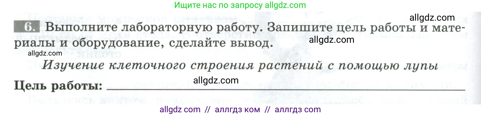 Биология, 5 класс рабочая тетрадь, авторы: Пасечник Владимир Васильевич, Суматохин Сергей Витальевич, Швецов Глеб Геннадьевич, Гапонюк Зоя Георгиевна, Косарькова Марина Викторовна, издательство Просвещение, Москва, 2023, оранжевого цвета, страница 42, номер 6, Условие
