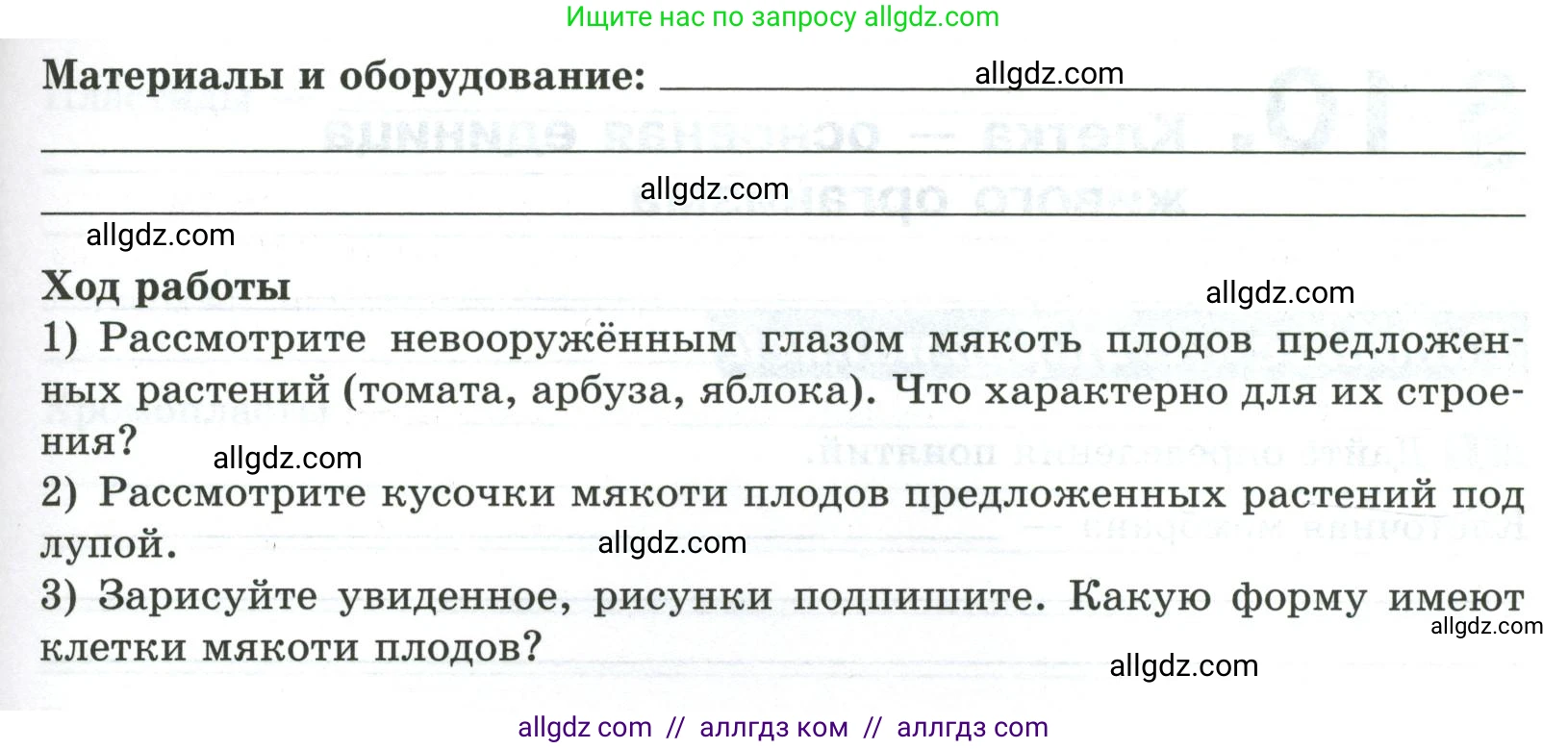 Биология, 5 класс рабочая тетрадь, авторы: Пасечник Владимир Васильевич, Суматохин Сергей Витальевич, Швецов Глеб Геннадьевич, Гапонюк Зоя Георгиевна, Косарькова Марина Викторовна, издательство Просвещение, Москва, 2023, оранжевого цвета, страница 42, номер 6, Условие (продолжение 2)