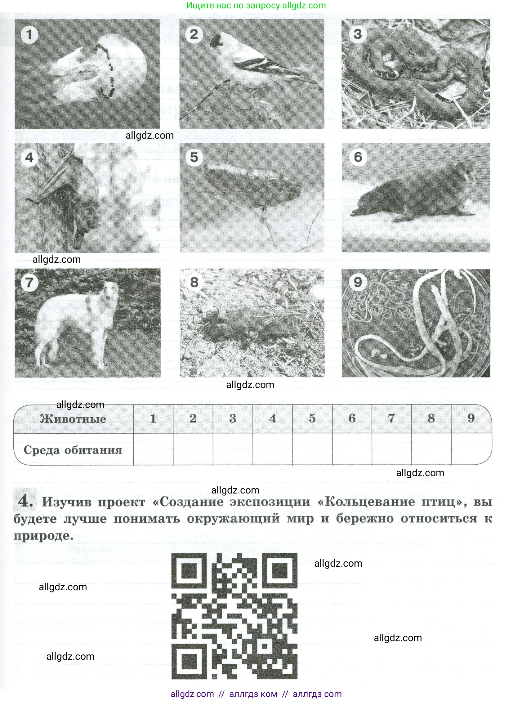 Биология, 5 класс рабочая тетрадь, авторы: Пасечник Владимир Васильевич, Суматохин Сергей Витальевич, Швецов Глеб Геннадьевич, Гапонюк Зоя Георгиевна, Косарькова Марина Викторовна, издательство Просвещение, Москва, 2023, оранжевого цвета, страница 83, Условие (продолжение 3)