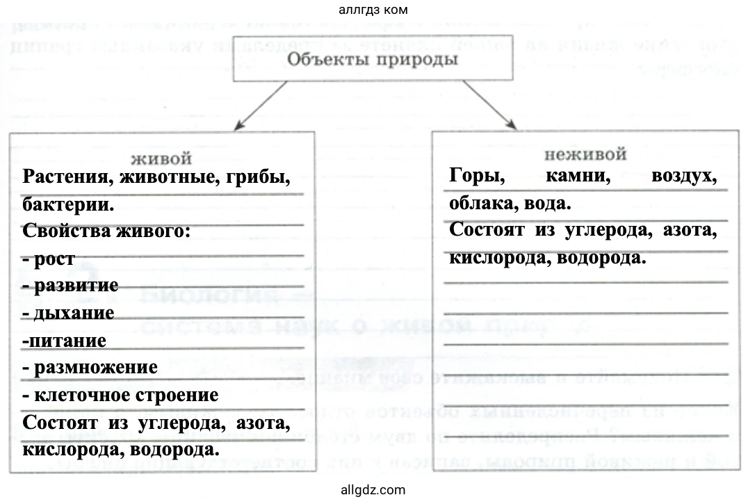 Объекты живой и неживой природы - биология 5 класс Пасечник Рабочая тетрадь