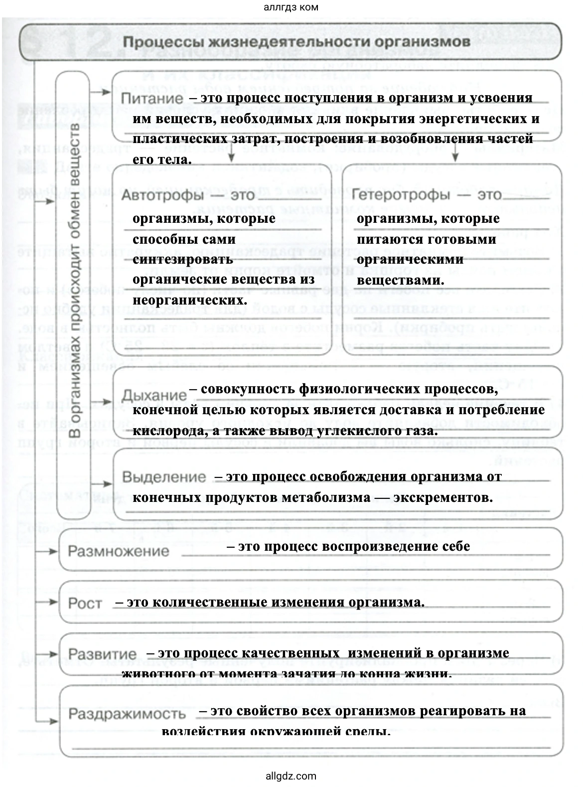 Процессы жизнедеятельности организмов - биология 5 класс Пасечник Рабочая тетрадь