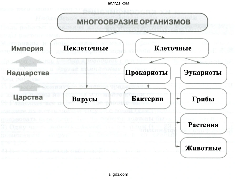 Многообразие организмов - биология 5 класс Пасечник Рабочая тетрадь