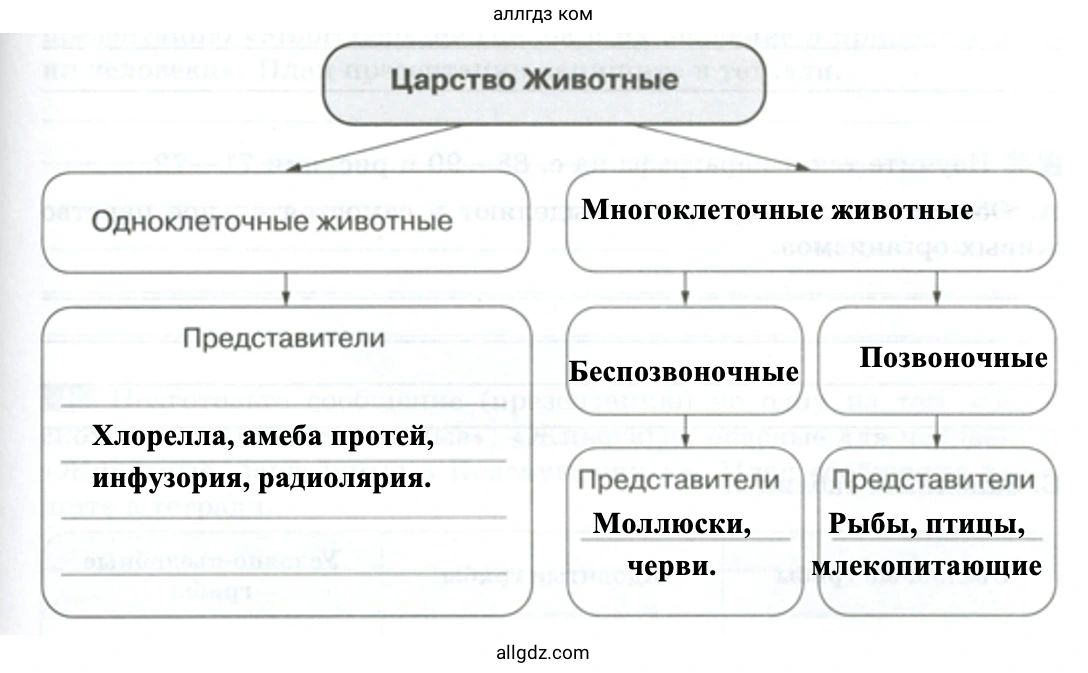 Царство Животные - биология 5 класс Пасечник Рабочая тетрадь