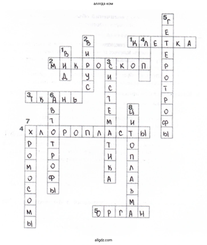 Многообразие организмов - биология 5 класс Пасечник Рабочая тетрадь