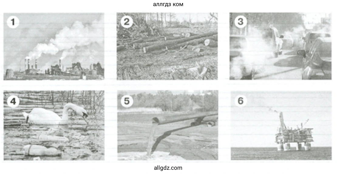 Рассмотрите рисунки – символы экологических проблем - биология 5 класс Пасечник Рабочая тетрадь