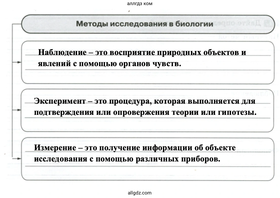 Основные методы биологических исследований - биология 5 класс Пасечник Рабочая тетрадь