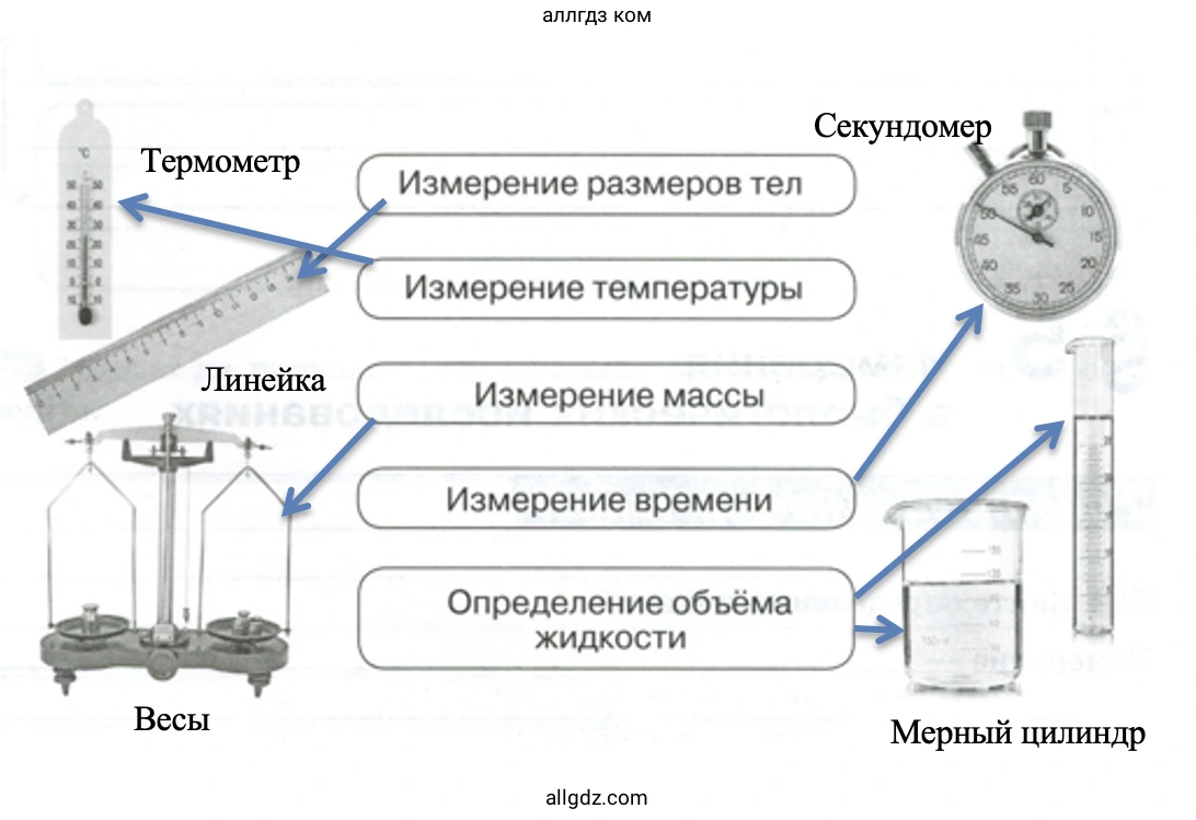измерительные приборы - биология 5 класс Пасечник Рабочая тетрадь