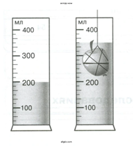 Определите объём воды в мерных цилиндрах на рисунках (2) - биология 5 класс Пасечник Рабочая тетрадь