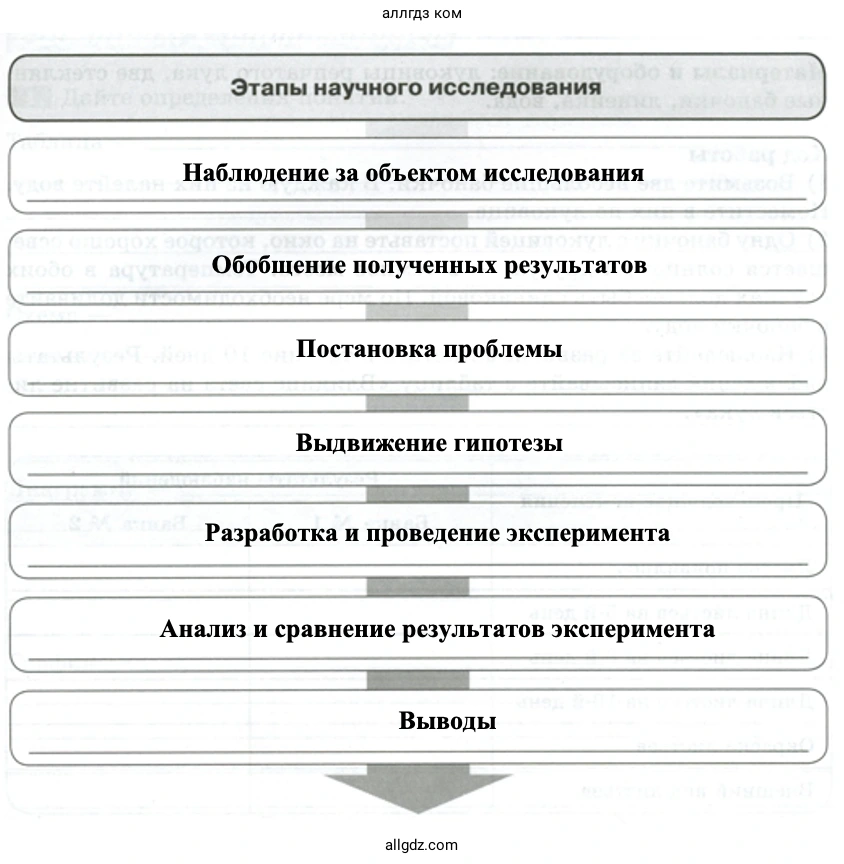 Этапы научного исследования - биология 5 класс Пасечник Рабочая тетрадь