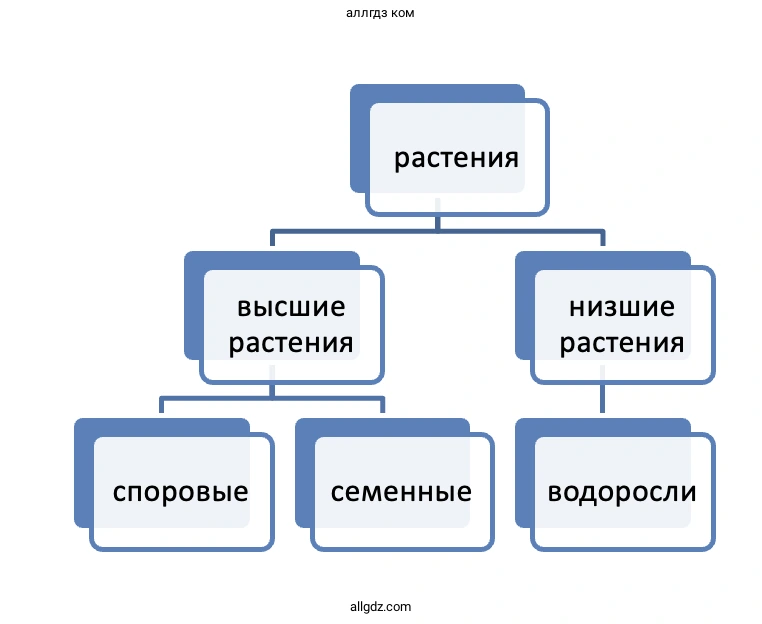 Растения - биология 5 класс Пасечник Рабочая тетрадь