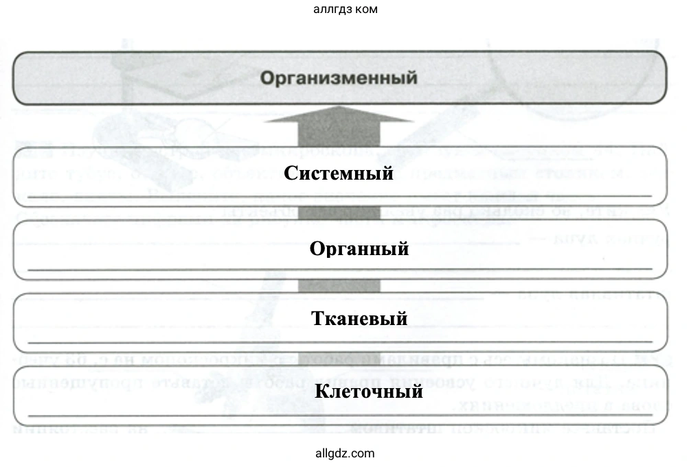 Уровни организации многоклеточного организма - биология 5 класс Пасечник Рабочая тетрадь