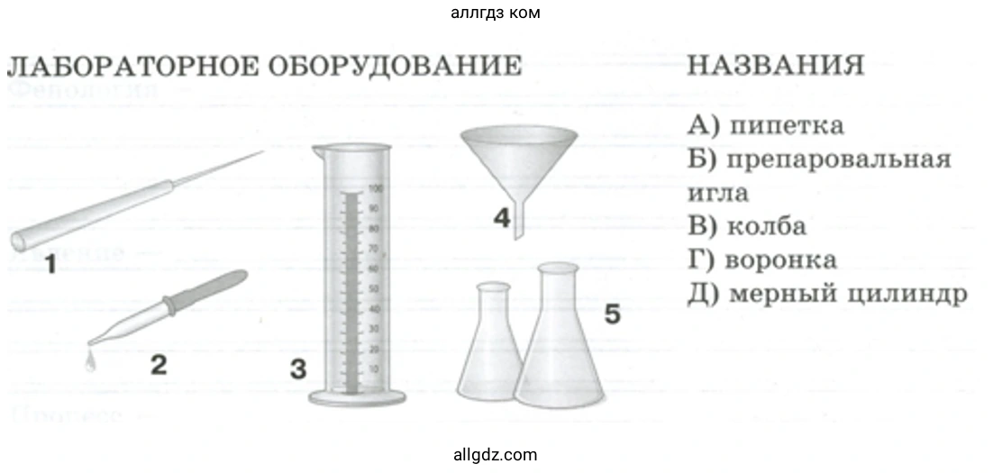 Установите соответствие между лабораторным оборудованием и его названиями. - биология 5 класс Пасечник Рабочая тетрадь