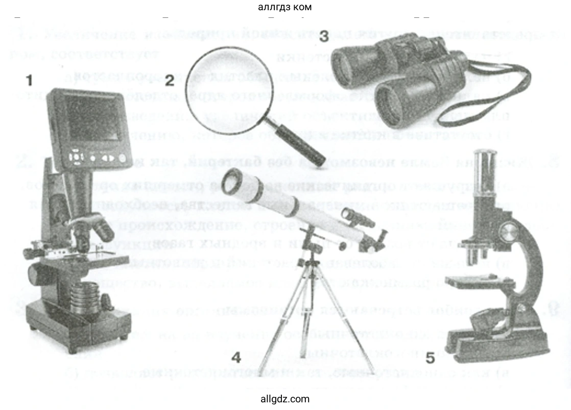 Приборы, предназначенные для изучения мелких природных объектов и клеток живых организмов - биология 5 класс Пасечник Рабочая тетрадь