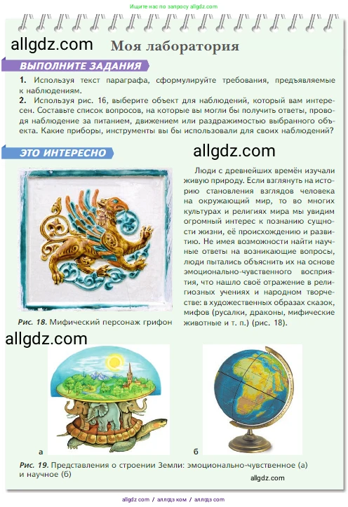 Биология, 5 класс Учебник, авторы: Пасечник Владимир Васильевич, Суматохин Сергей Витальевич, Гапонюк Зоя Георгиевна, Швецов Глеб Геннадьевич, издательство Просвещение, Москва, 2023, белого цвета, страница 32, Условие