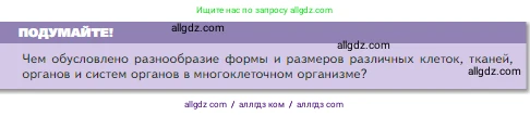 Биология, 5 класс Учебник, авторы: Пасечник Владимир Васильевич, Суматохин Сергей Витальевич, Гапонюк Зоя Георгиевна, Швецов Глеб Геннадьевич, издательство Просвещение, Москва, 2023, белого цвета, страница 58, Условие