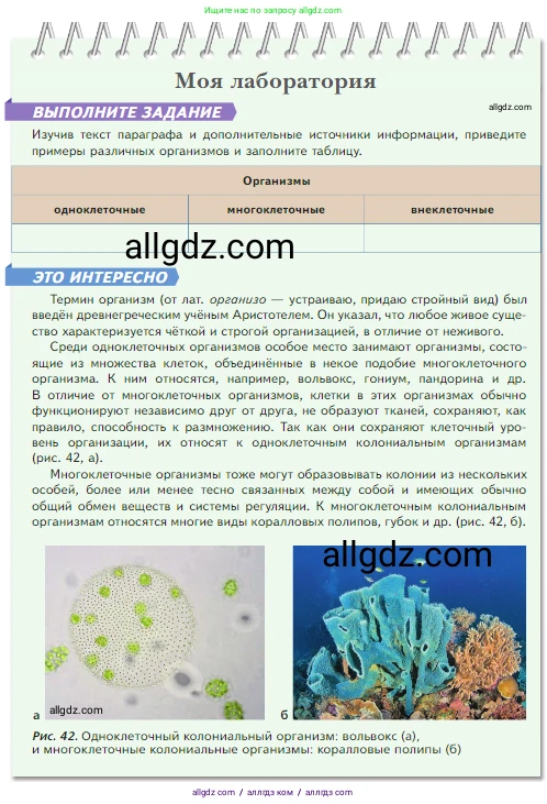 Биология, 5 класс Учебник, авторы: Пасечник Владимир Васильевич, Суматохин Сергей Витальевич, Гапонюк Зоя Георгиевна, Швецов Глеб Геннадьевич, издательство Просвещение, Москва, 2023, белого цвета, страница 59, Условие