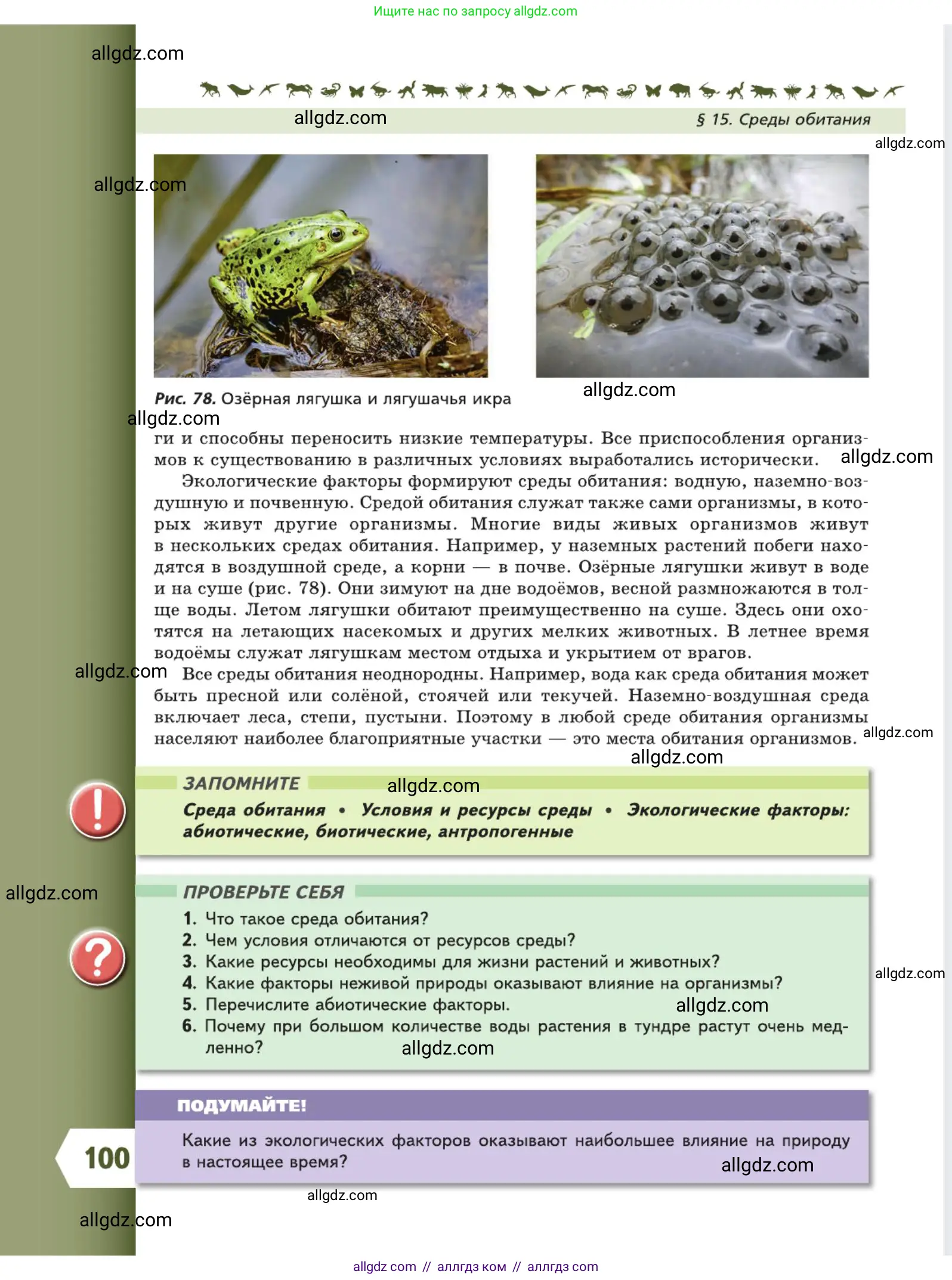 Биология, 5 класс Учебник, авторы: Пасечник Владимир Васильевич, Суматохин Сергей Витальевич, Гапонюк Зоя Георгиевна, Швецов Глеб Геннадьевич, издательство Просвещение, Москва, 2023, белого цвета, страница 100
