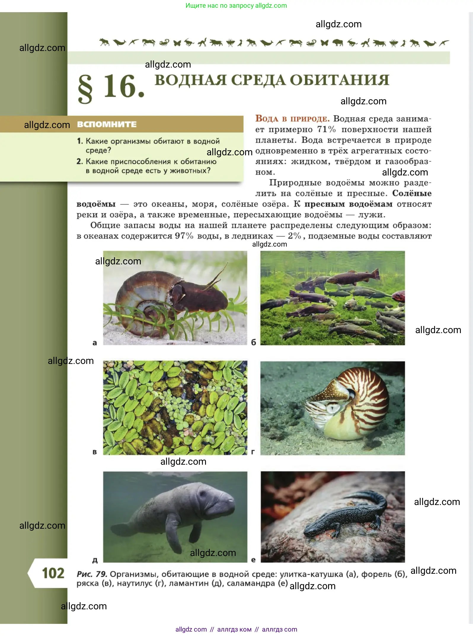 Биология, 5 класс Учебник, авторы: Пасечник Владимир Васильевич, Суматохин Сергей Витальевич, Гапонюк Зоя Георгиевна, Швецов Глеб Геннадьевич, издательство Просвещение, Москва, 2023, белого цвета, страница 102