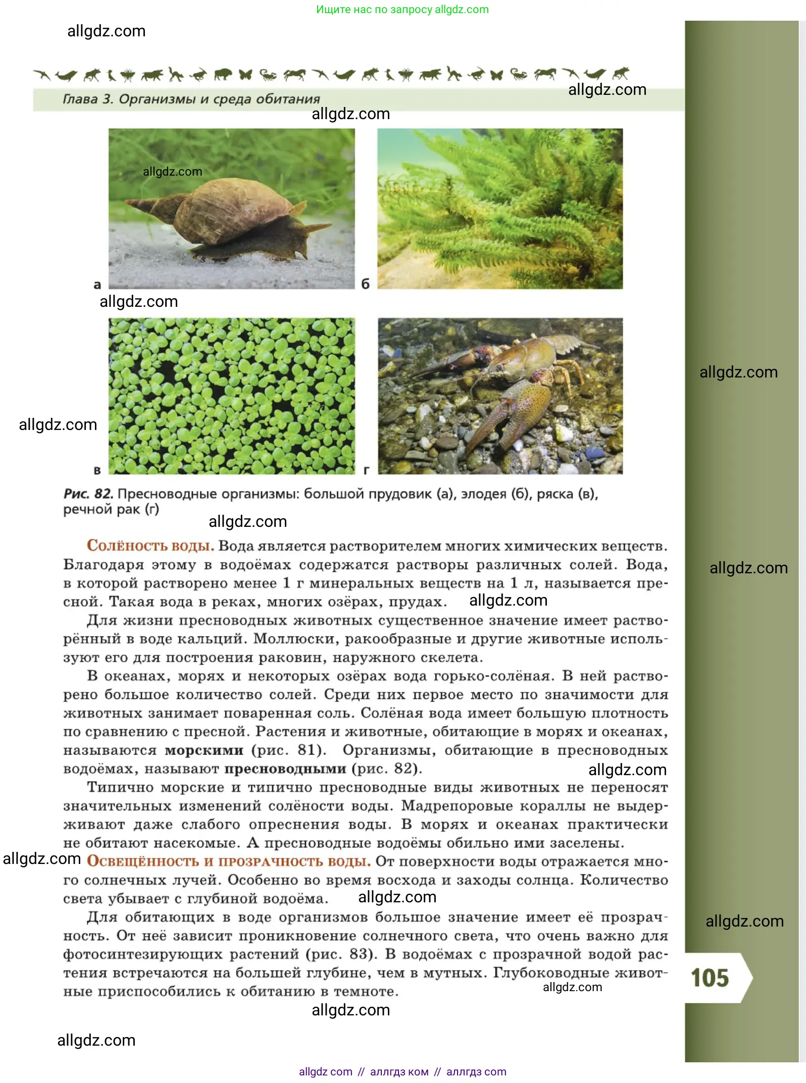 Биология, 5 класс Учебник, авторы: Пасечник Владимир Васильевич, Суматохин Сергей Витальевич, Гапонюк Зоя Георгиевна, Швецов Глеб Геннадьевич, издательство Просвещение, Москва, 2023, белого цвета, страница 105