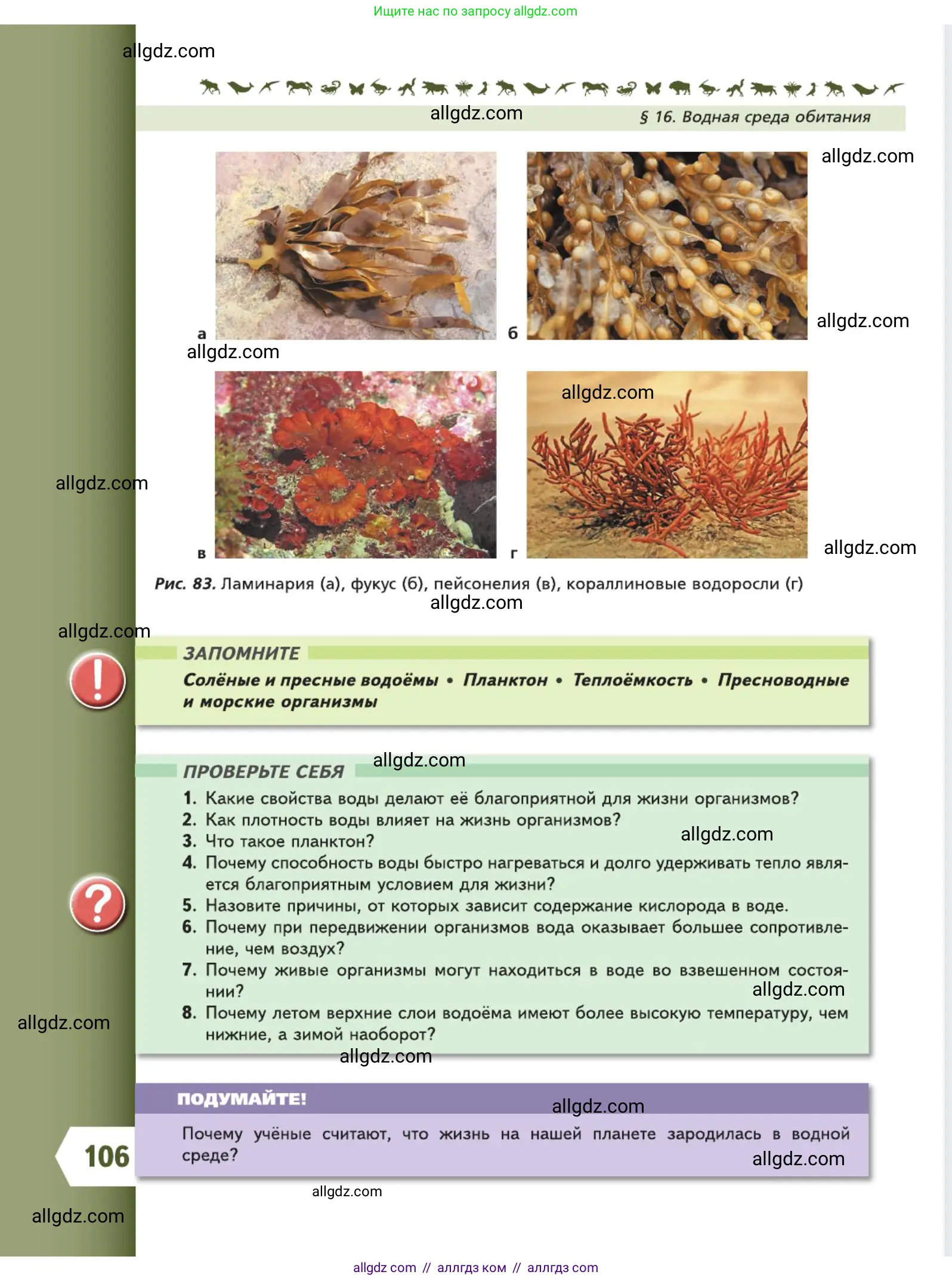 Биология, 5 класс Учебник, авторы: Пасечник Владимир Васильевич, Суматохин Сергей Витальевич, Гапонюк Зоя Георгиевна, Швецов Глеб Геннадьевич, издательство Просвещение, Москва, 2023, белого цвета, страница 106