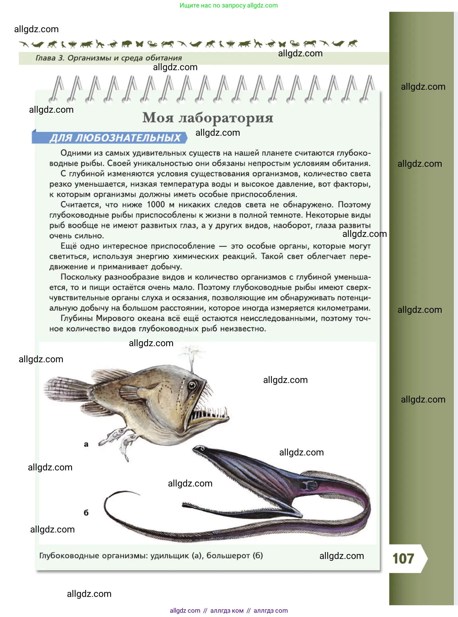 Биология, 5 класс Учебник, авторы: Пасечник Владимир Васильевич, Суматохин Сергей Витальевич, Гапонюк Зоя Георгиевна, Швецов Глеб Геннадьевич, издательство Просвещение, Москва, 2023, белого цвета, страница 107
