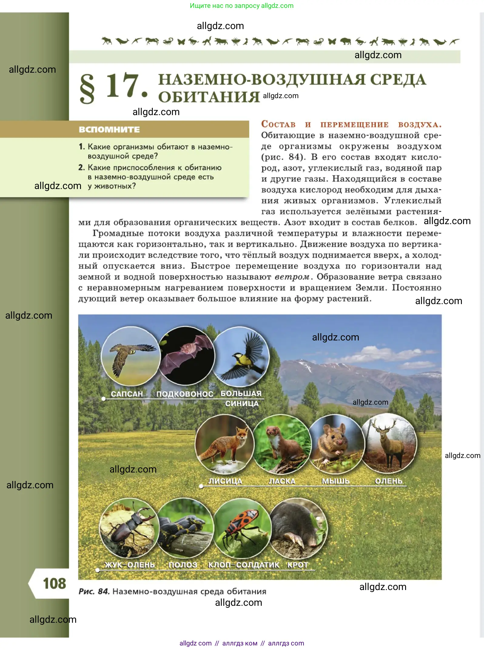 Биология, 5 класс Учебник, авторы: Пасечник Владимир Васильевич, Суматохин Сергей Витальевич, Гапонюк Зоя Георгиевна, Швецов Глеб Геннадьевич, издательство Просвещение, Москва, 2023, белого цвета, страница 108