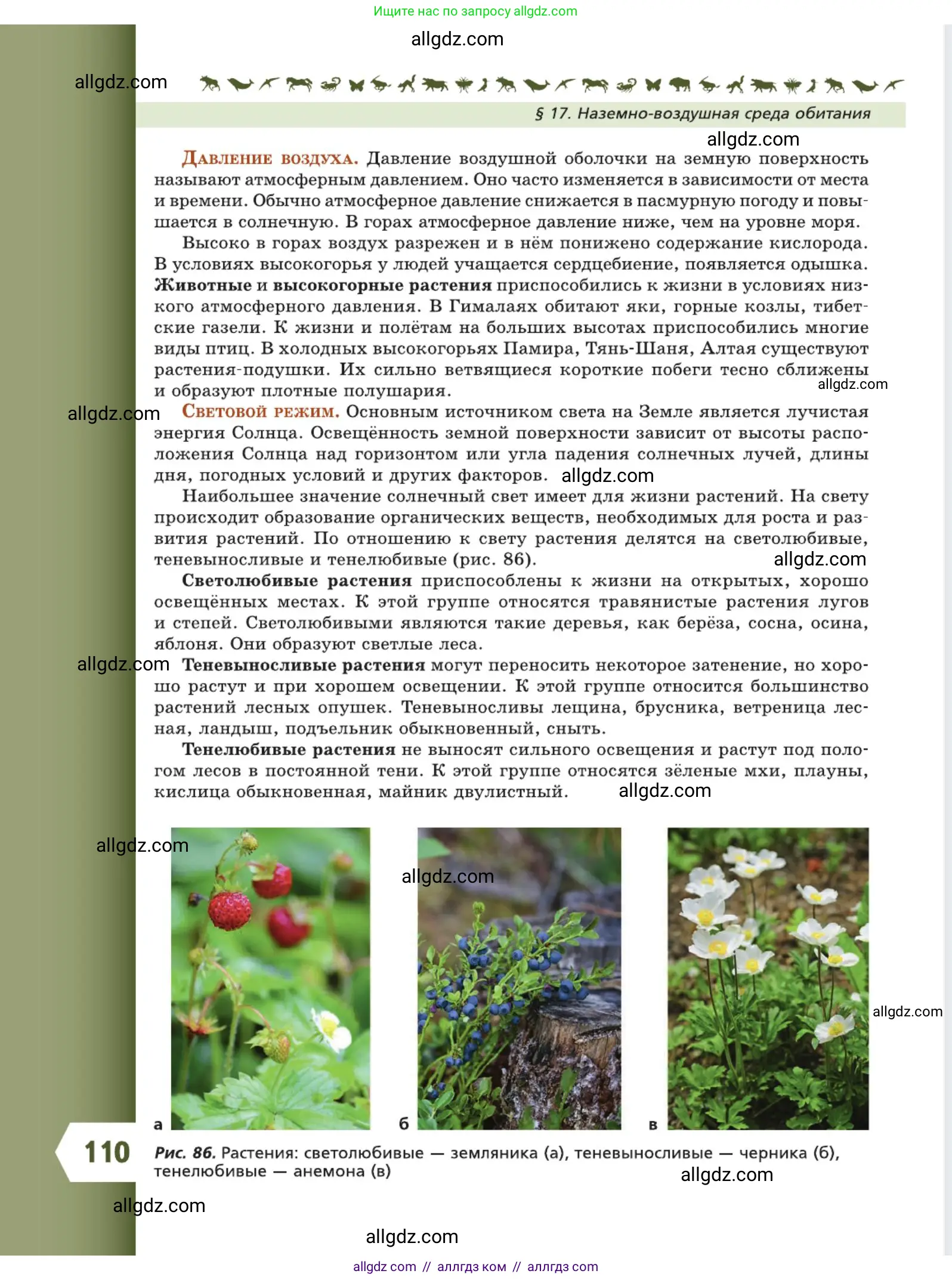 Биология, 5 класс Учебник, авторы: Пасечник Владимир Васильевич, Суматохин Сергей Витальевич, Гапонюк Зоя Георгиевна, Швецов Глеб Геннадьевич, издательство Просвещение, Москва, 2023, белого цвета, страница 110