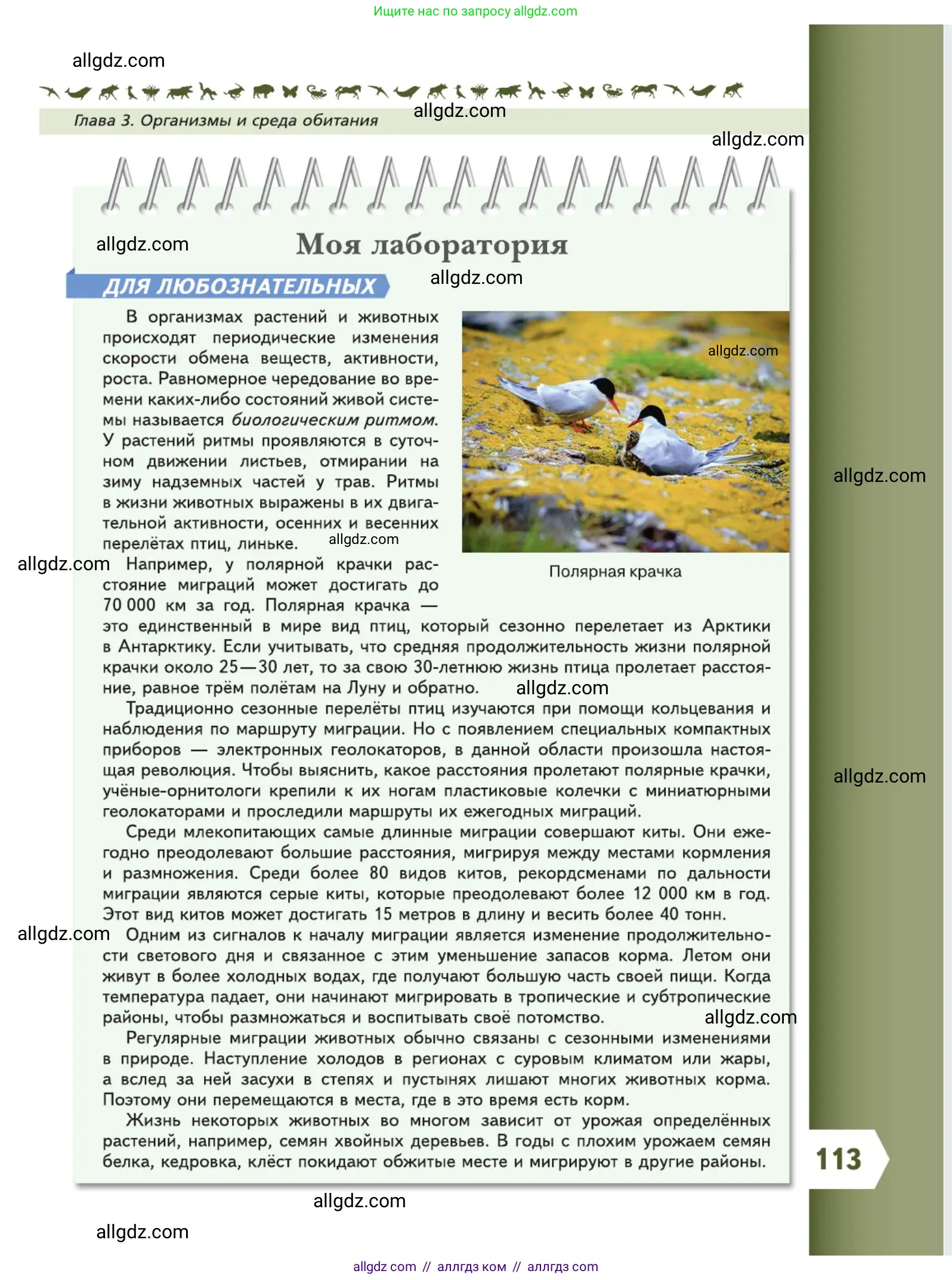 Биология, 5 класс Учебник, авторы: Пасечник Владимир Васильевич, Суматохин Сергей Витальевич, Гапонюк Зоя Георгиевна, Швецов Глеб Геннадьевич, издательство Просвещение, Москва, 2023, белого цвета, страница 113