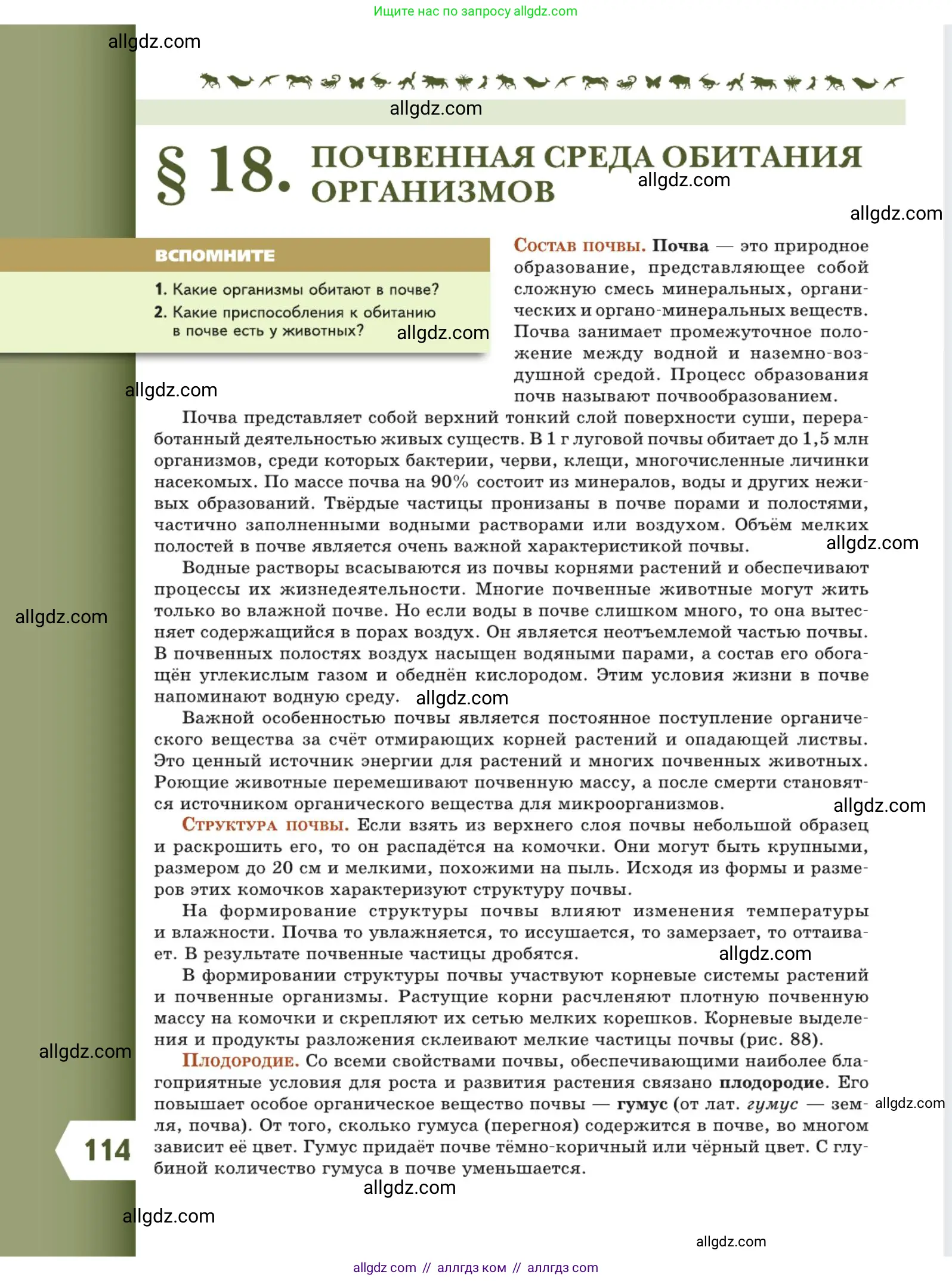 Биология, 5 класс Учебник, авторы: Пасечник Владимир Васильевич, Суматохин Сергей Витальевич, Гапонюк Зоя Георгиевна, Швецов Глеб Геннадьевич, издательство Просвещение, Москва, 2023, белого цвета, страница 114