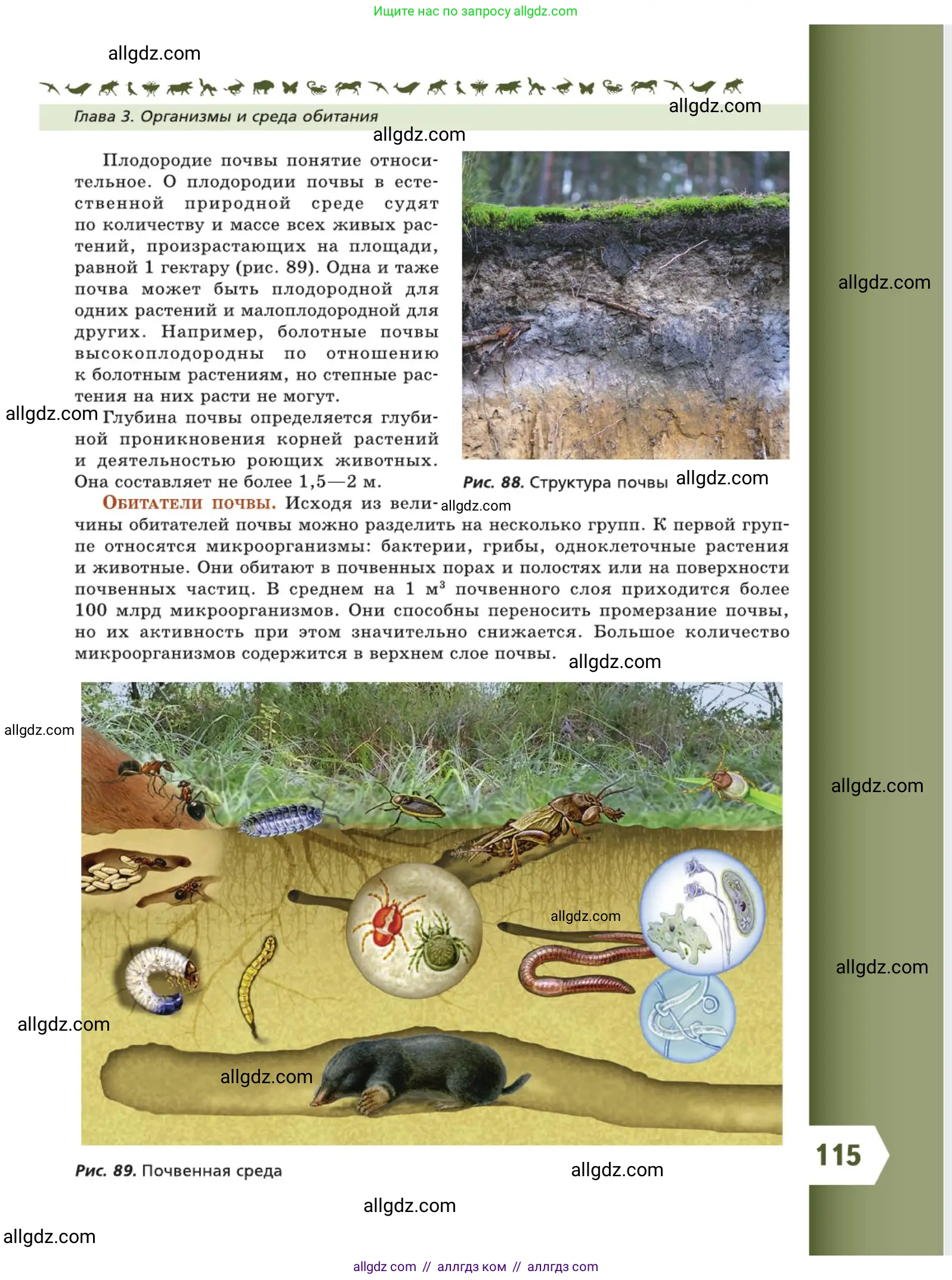 Биология, 5 класс Учебник, авторы: Пасечник Владимир Васильевич, Суматохин Сергей Витальевич, Гапонюк Зоя Георгиевна, Швецов Глеб Геннадьевич, издательство Просвещение, Москва, 2023, белого цвета, страница 115