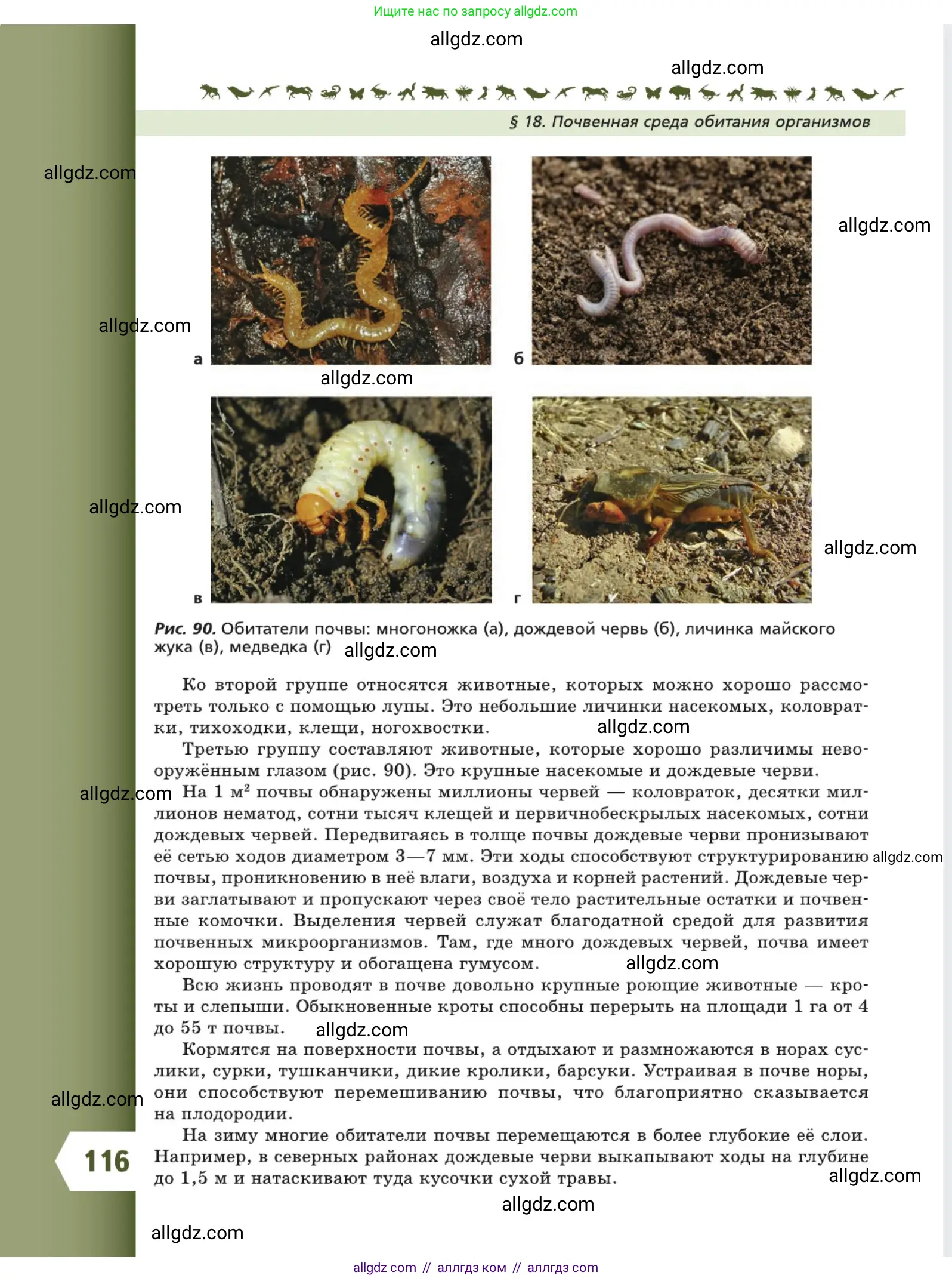 Биология, 5 класс Учебник, авторы: Пасечник Владимир Васильевич, Суматохин Сергей Витальевич, Гапонюк Зоя Георгиевна, Швецов Глеб Геннадьевич, издательство Просвещение, Москва, 2023, белого цвета, страница 116