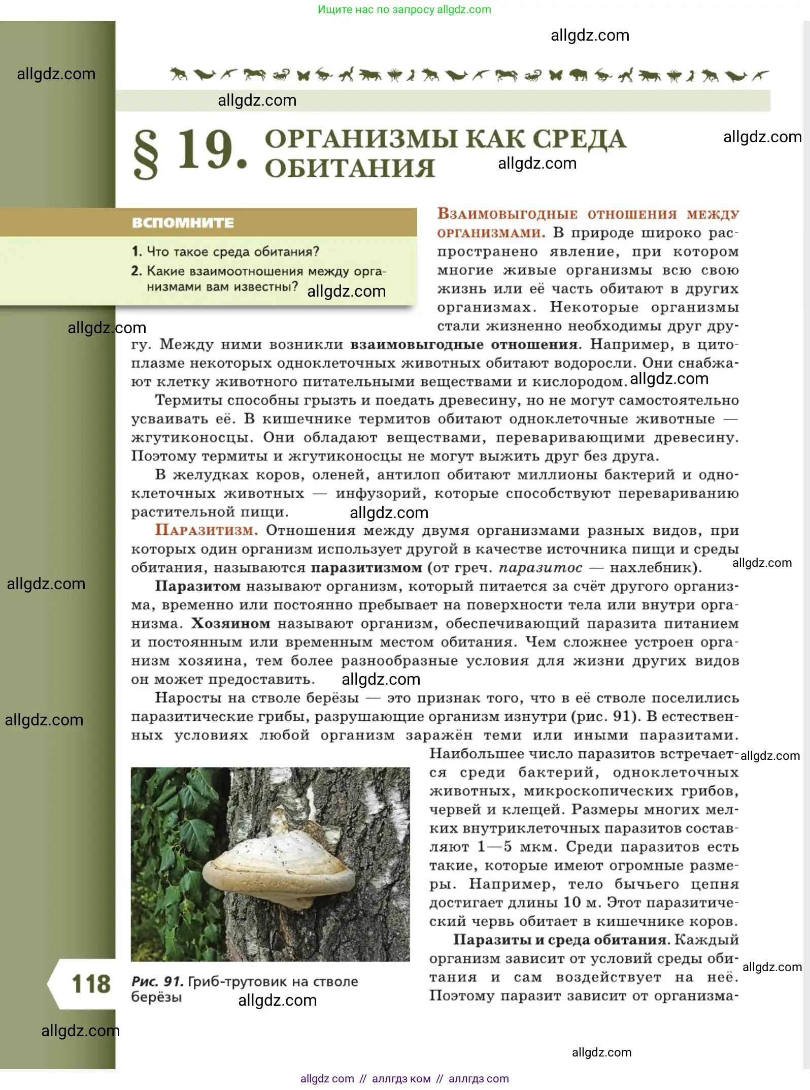 Биология, 5 класс Учебник, авторы: Пасечник Владимир Васильевич, Суматохин Сергей Витальевич, Гапонюк Зоя Георгиевна, Швецов Глеб Геннадьевич, издательство Просвещение, Москва, 2023, белого цвета, страница 118