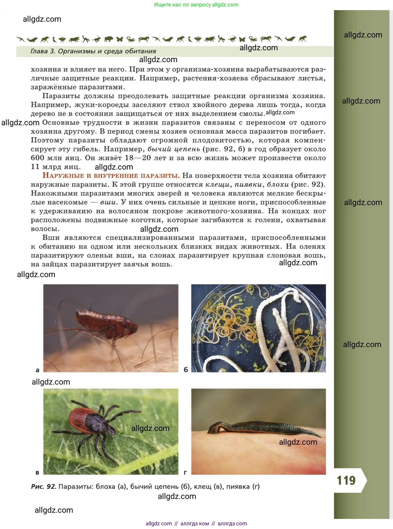 Биология, 5 класс Учебник, авторы: Пасечник Владимир Васильевич, Суматохин Сергей Витальевич, Гапонюк Зоя Георгиевна, Швецов Глеб Геннадьевич, издательство Просвещение, Москва, 2023, белого цвета, страница 119