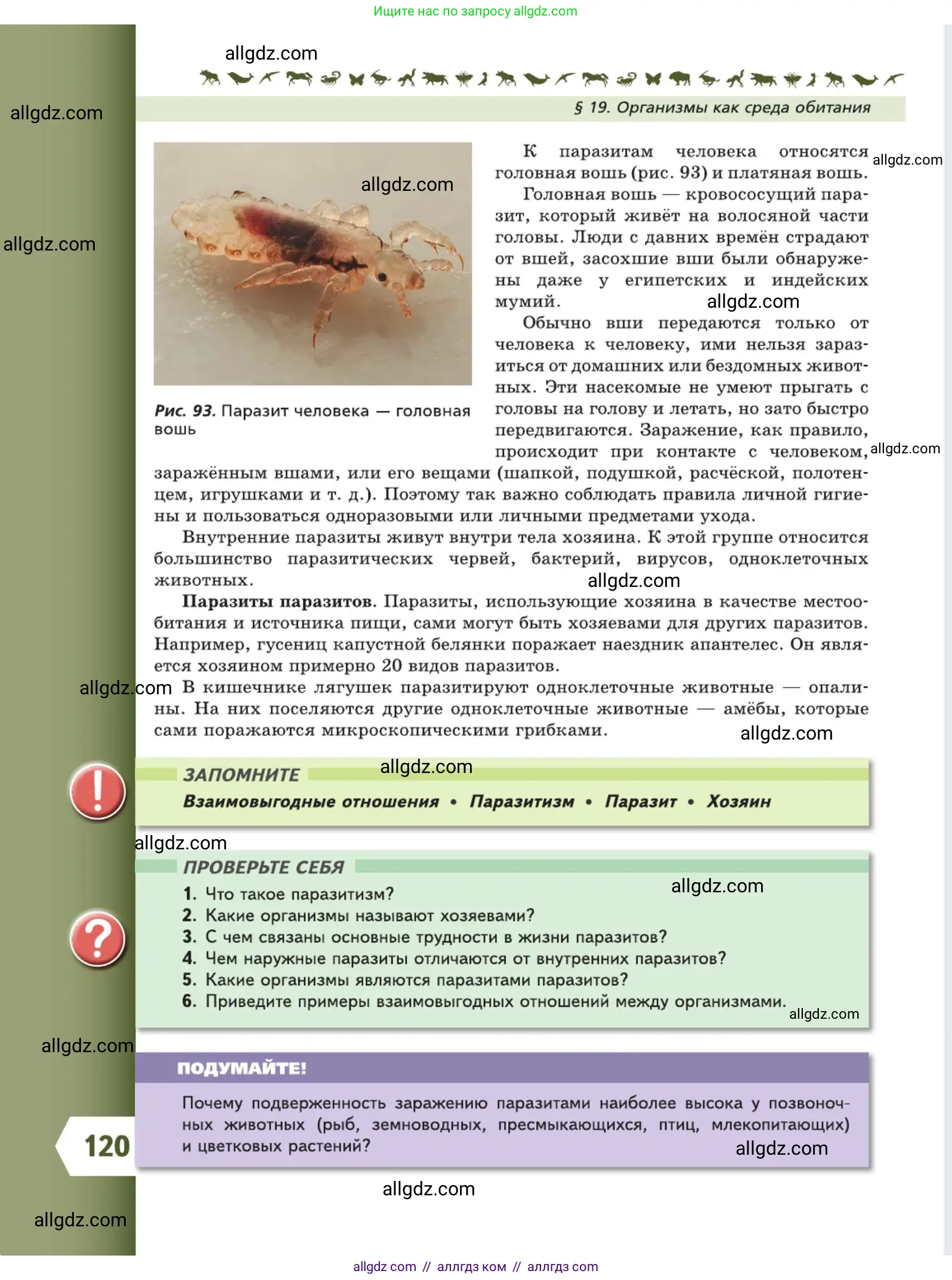 Биология, 5 класс Учебник, авторы: Пасечник Владимир Васильевич, Суматохин Сергей Витальевич, Гапонюк Зоя Георгиевна, Швецов Глеб Геннадьевич, издательство Просвещение, Москва, 2023, белого цвета, страница 120