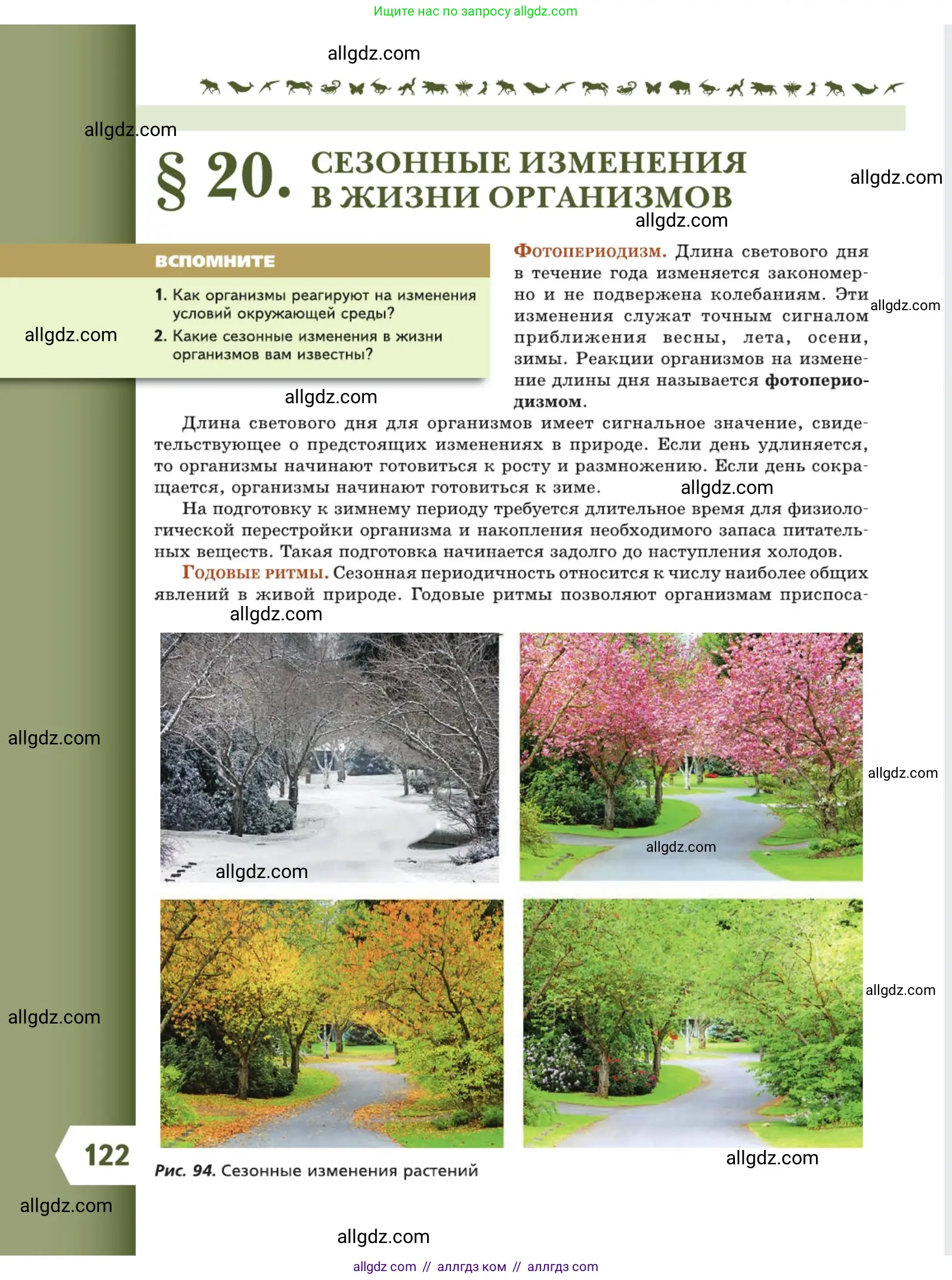 Биология, 5 класс Учебник, авторы: Пасечник Владимир Васильевич, Суматохин Сергей Витальевич, Гапонюк Зоя Георгиевна, Швецов Глеб Геннадьевич, издательство Просвещение, Москва, 2023, белого цвета, страница 122