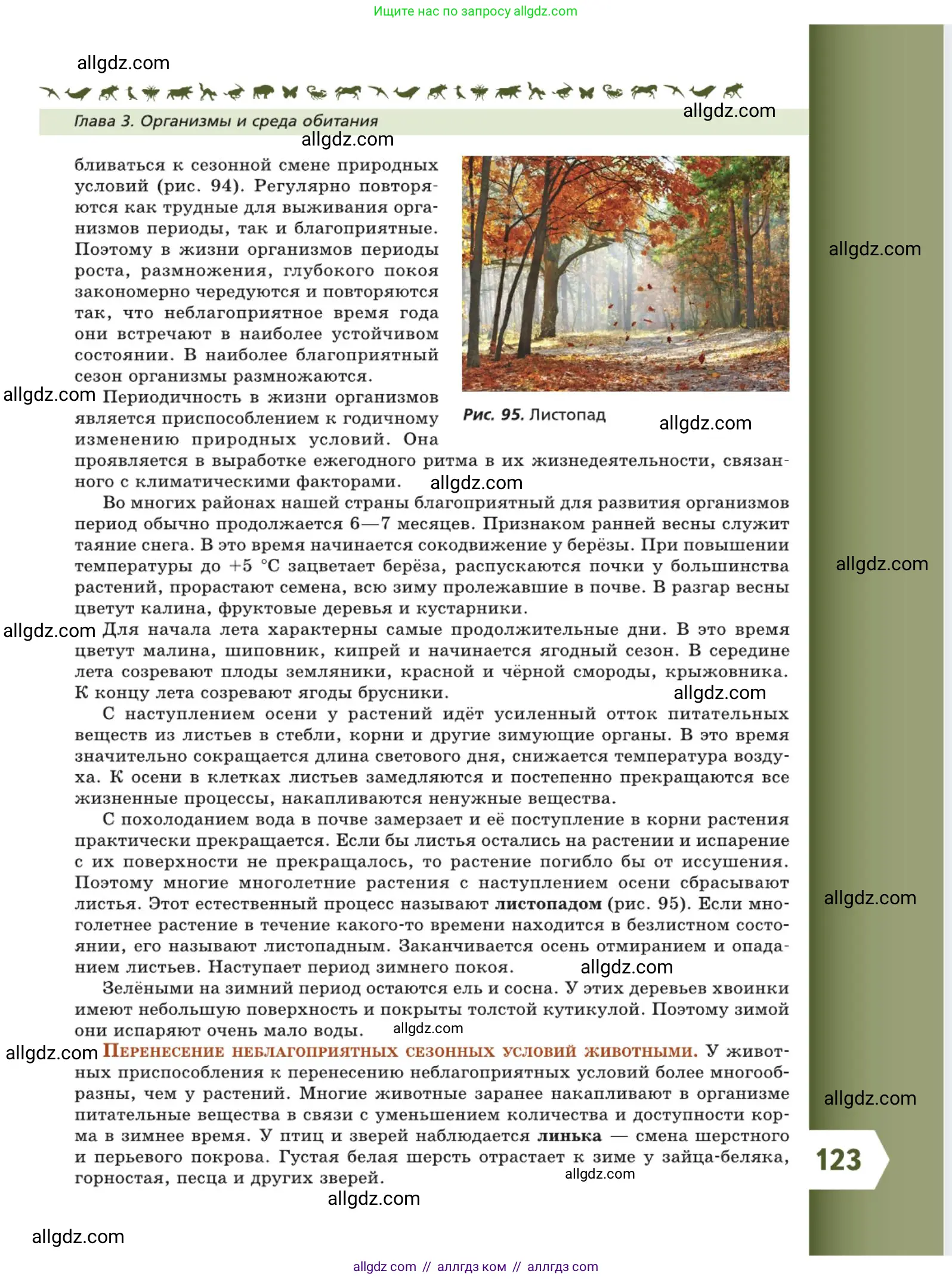 Биология, 5 класс Учебник, авторы: Пасечник Владимир Васильевич, Суматохин Сергей Витальевич, Гапонюк Зоя Георгиевна, Швецов Глеб Геннадьевич, издательство Просвещение, Москва, 2023, белого цвета, страница 123