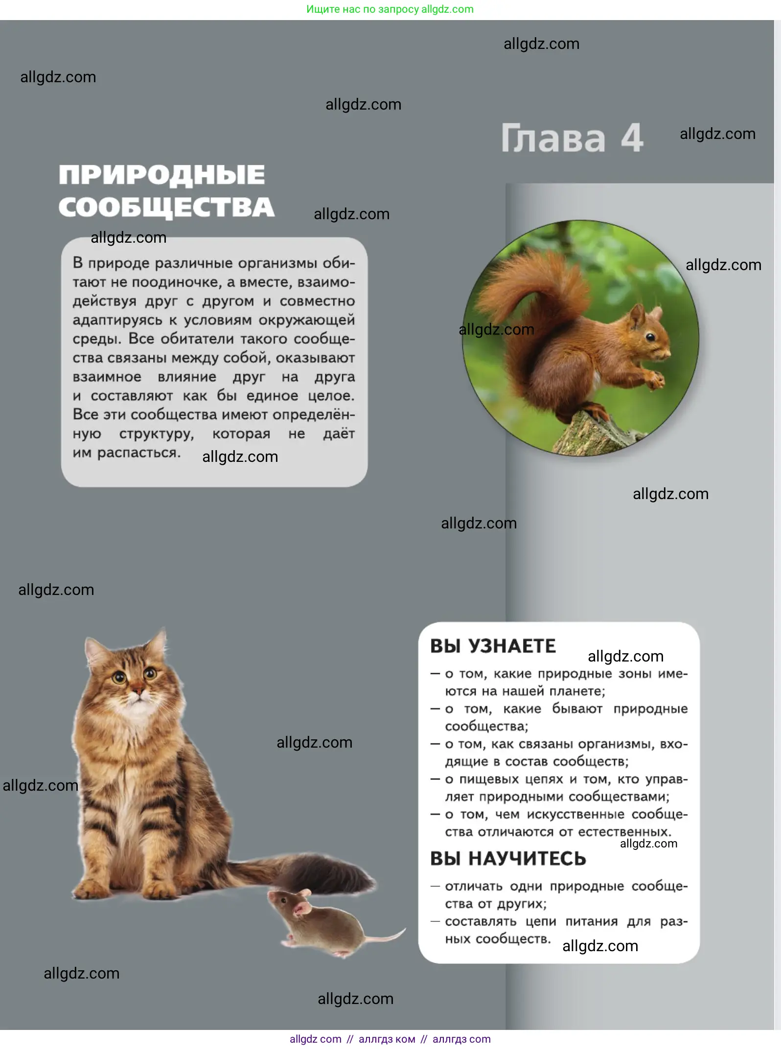 Биология, 5 класс Учебник, авторы: Пасечник Владимир Васильевич, Суматохин Сергей Витальевич, Гапонюк Зоя Георгиевна, Швецов Глеб Геннадьевич, издательство Просвещение, Москва, 2023, белого цвета, страница 125