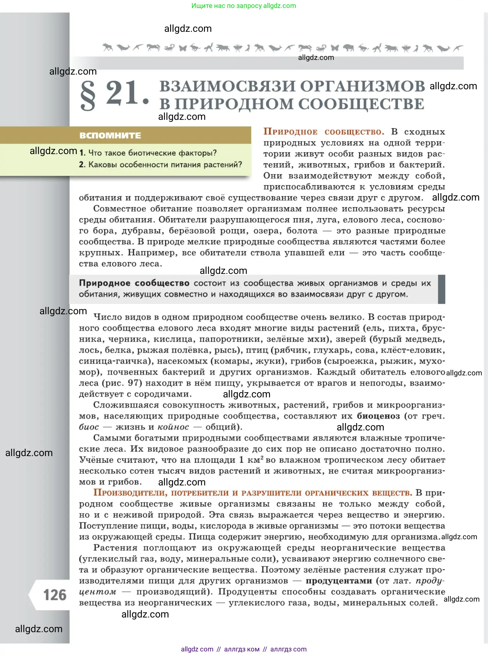 Биология, 5 класс Учебник, авторы: Пасечник Владимир Васильевич, Суматохин Сергей Витальевич, Гапонюк Зоя Георгиевна, Швецов Глеб Геннадьевич, издательство Просвещение, Москва, 2023, белого цвета, страница 126