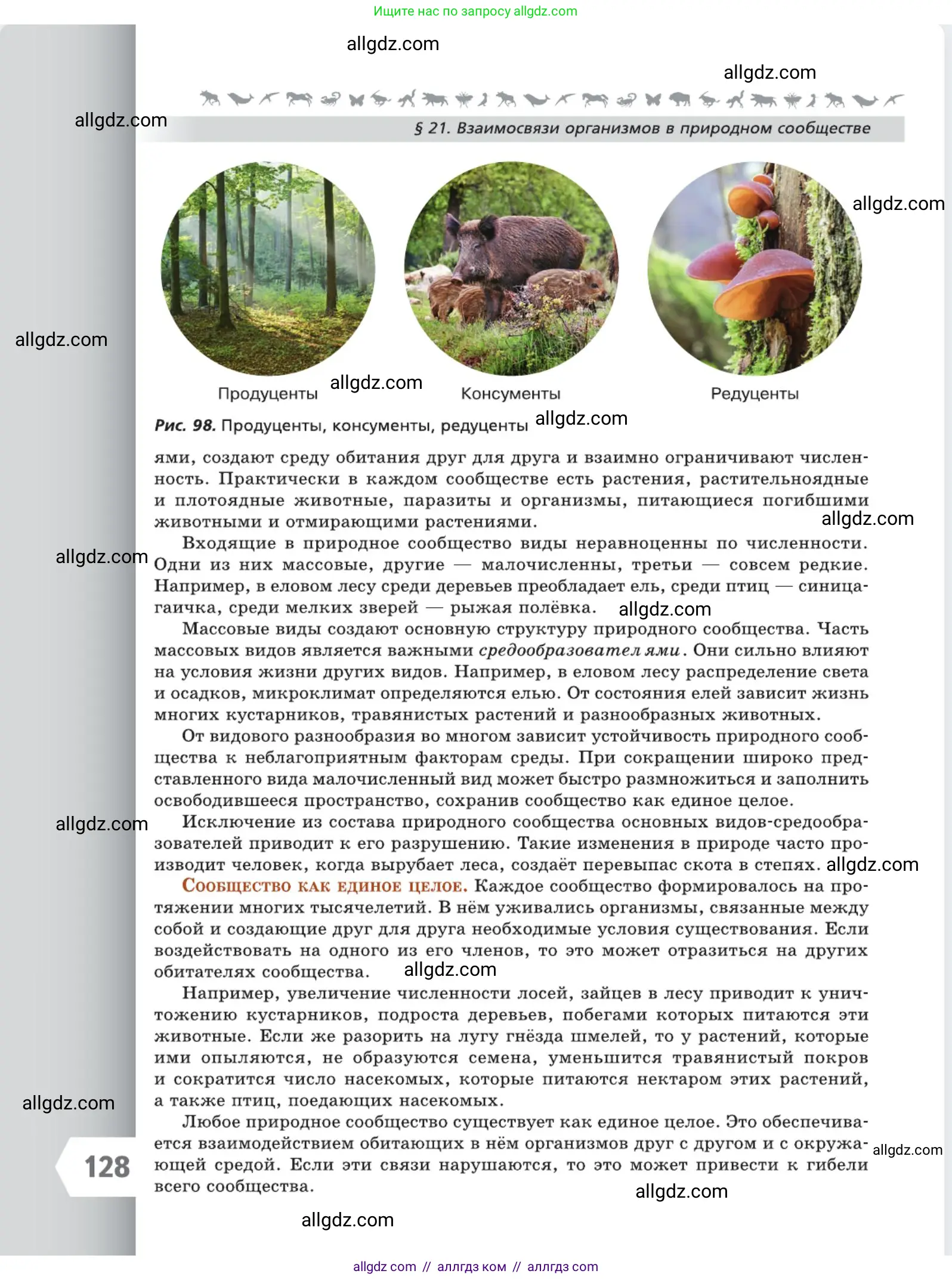 Биология, 5 класс Учебник, авторы: Пасечник Владимир Васильевич, Суматохин Сергей Витальевич, Гапонюк Зоя Георгиевна, Швецов Глеб Геннадьевич, издательство Просвещение, Москва, 2023, белого цвета, страница 128