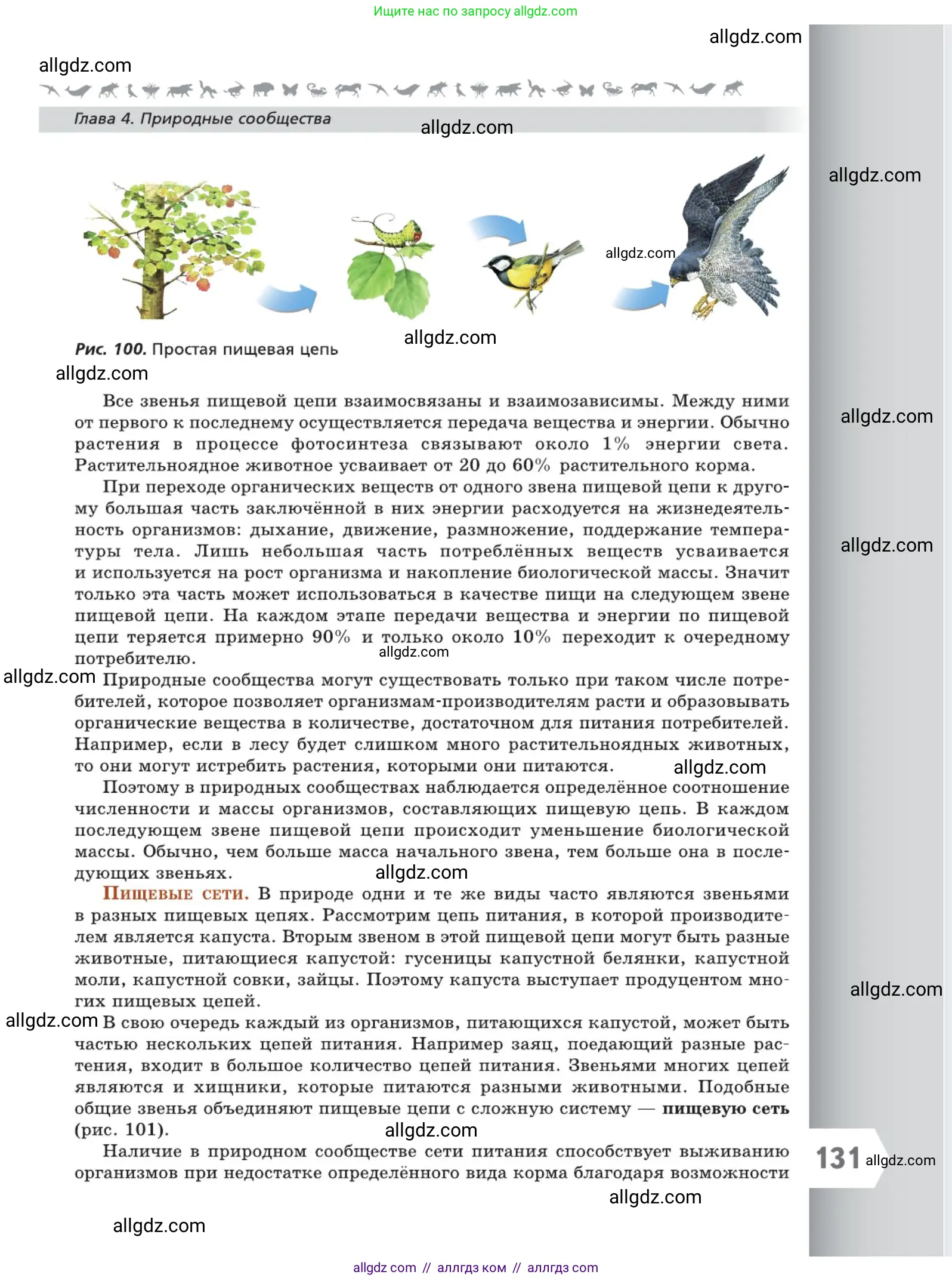 Биология, 5 класс Учебник, авторы: Пасечник Владимир Васильевич, Суматохин Сергей Витальевич, Гапонюк Зоя Георгиевна, Швецов Глеб Геннадьевич, издательство Просвещение, Москва, 2023, белого цвета, страница 131