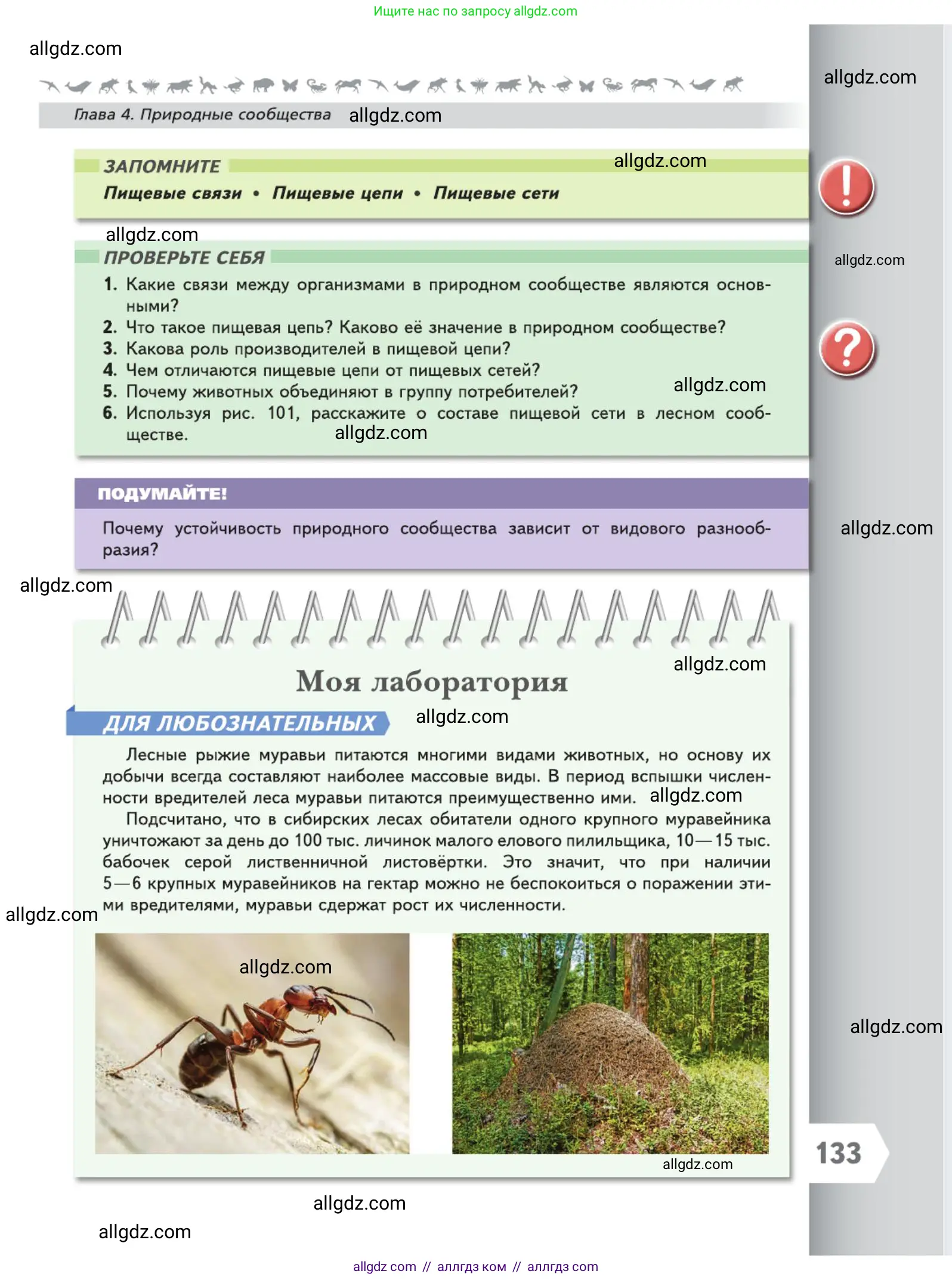 Биология, 5 класс Учебник, авторы: Пасечник Владимир Васильевич, Суматохин Сергей Витальевич, Гапонюк Зоя Георгиевна, Швецов Глеб Геннадьевич, издательство Просвещение, Москва, 2023, белого цвета, страница 133