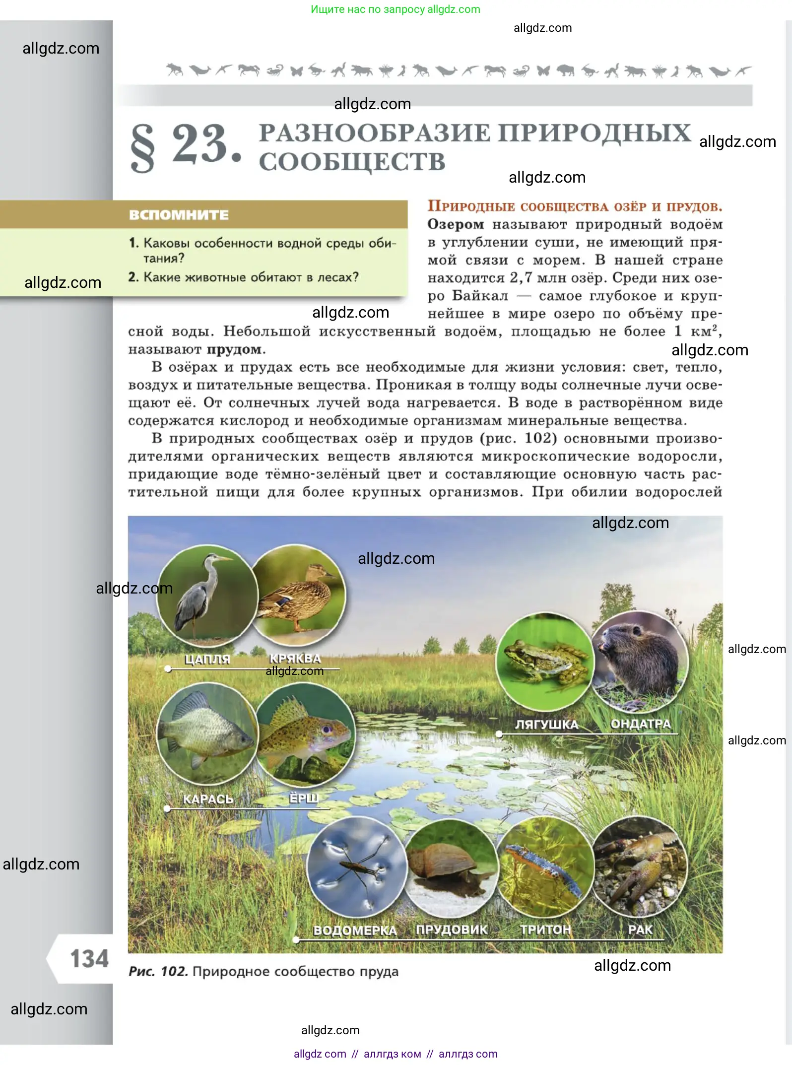 Биология, 5 класс Учебник, авторы: Пасечник Владимир Васильевич, Суматохин Сергей Витальевич, Гапонюк Зоя Георгиевна, Швецов Глеб Геннадьевич, издательство Просвещение, Москва, 2023, белого цвета, страница 134