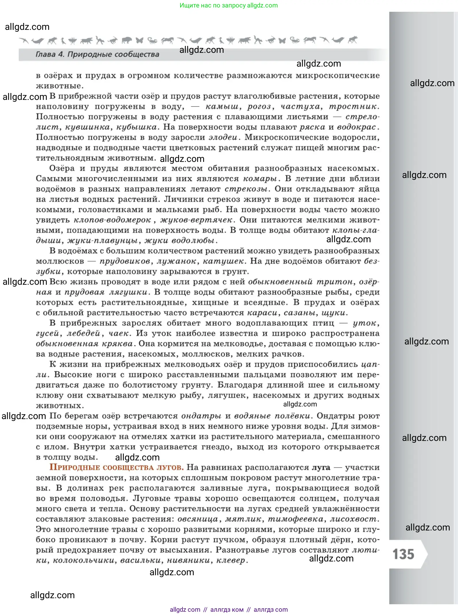 Биология, 5 класс Учебник, авторы: Пасечник Владимир Васильевич, Суматохин Сергей Витальевич, Гапонюк Зоя Георгиевна, Швецов Глеб Геннадьевич, издательство Просвещение, Москва, 2023, белого цвета, страница 135