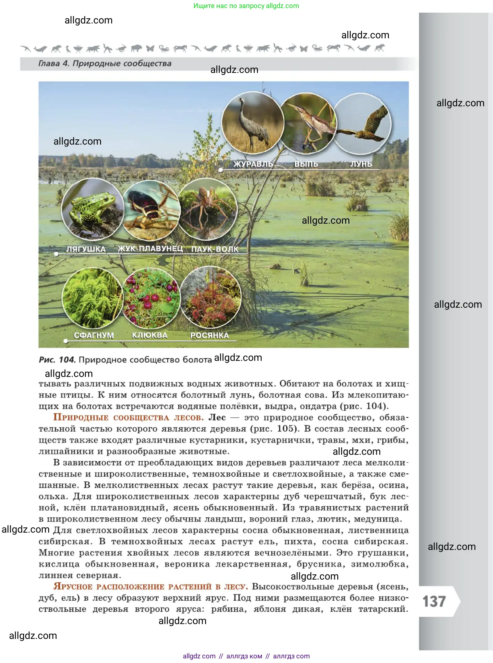 Биология, 5 класс Учебник, авторы: Пасечник Владимир Васильевич, Суматохин Сергей Витальевич, Гапонюк Зоя Георгиевна, Швецов Глеб Геннадьевич, издательство Просвещение, Москва, 2023, белого цвета, страница 137