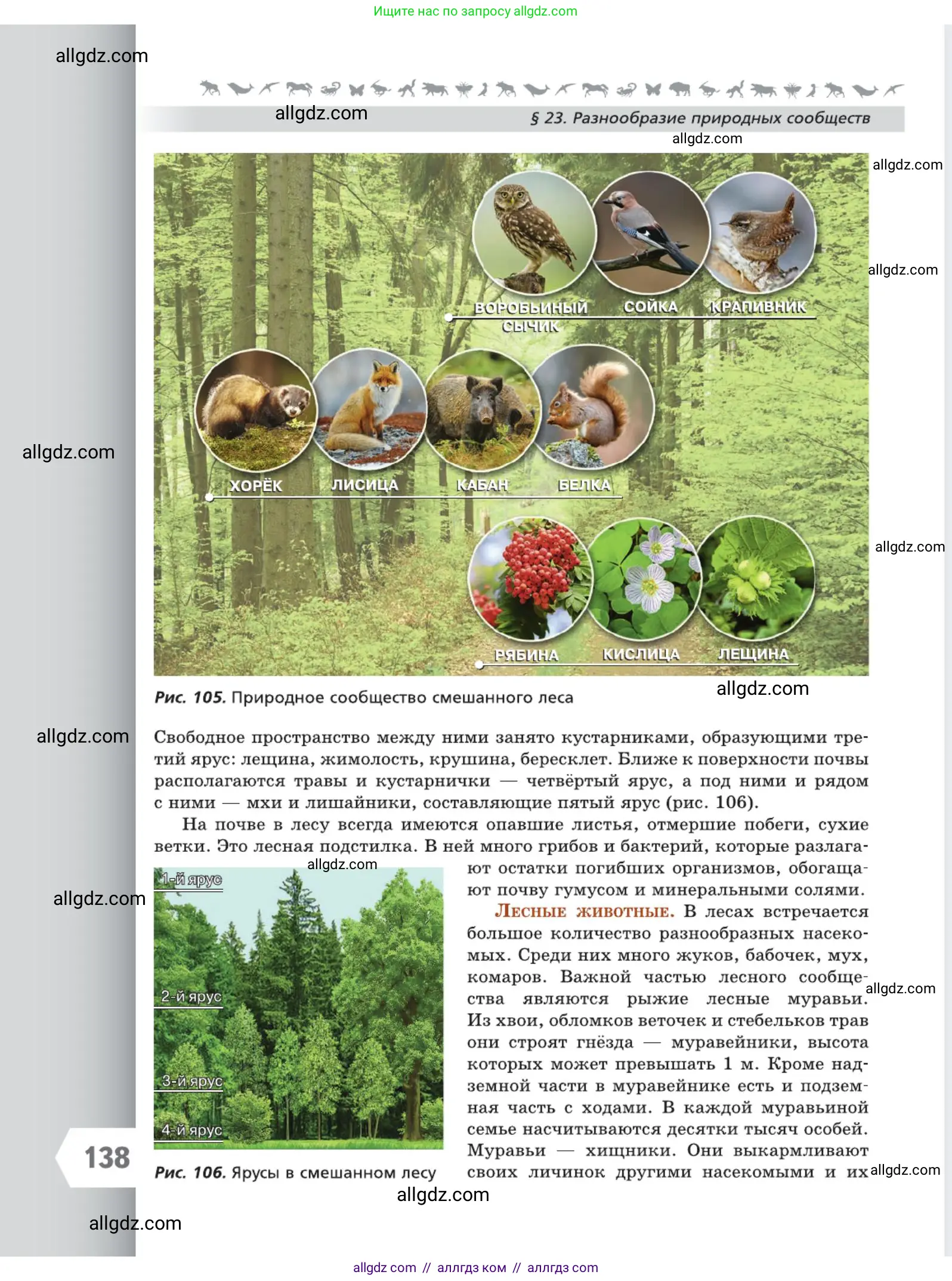 Биология, 5 класс Учебник, авторы: Пасечник Владимир Васильевич, Суматохин Сергей Витальевич, Гапонюк Зоя Георгиевна, Швецов Глеб Геннадьевич, издательство Просвещение, Москва, 2023, белого цвета, страница 138