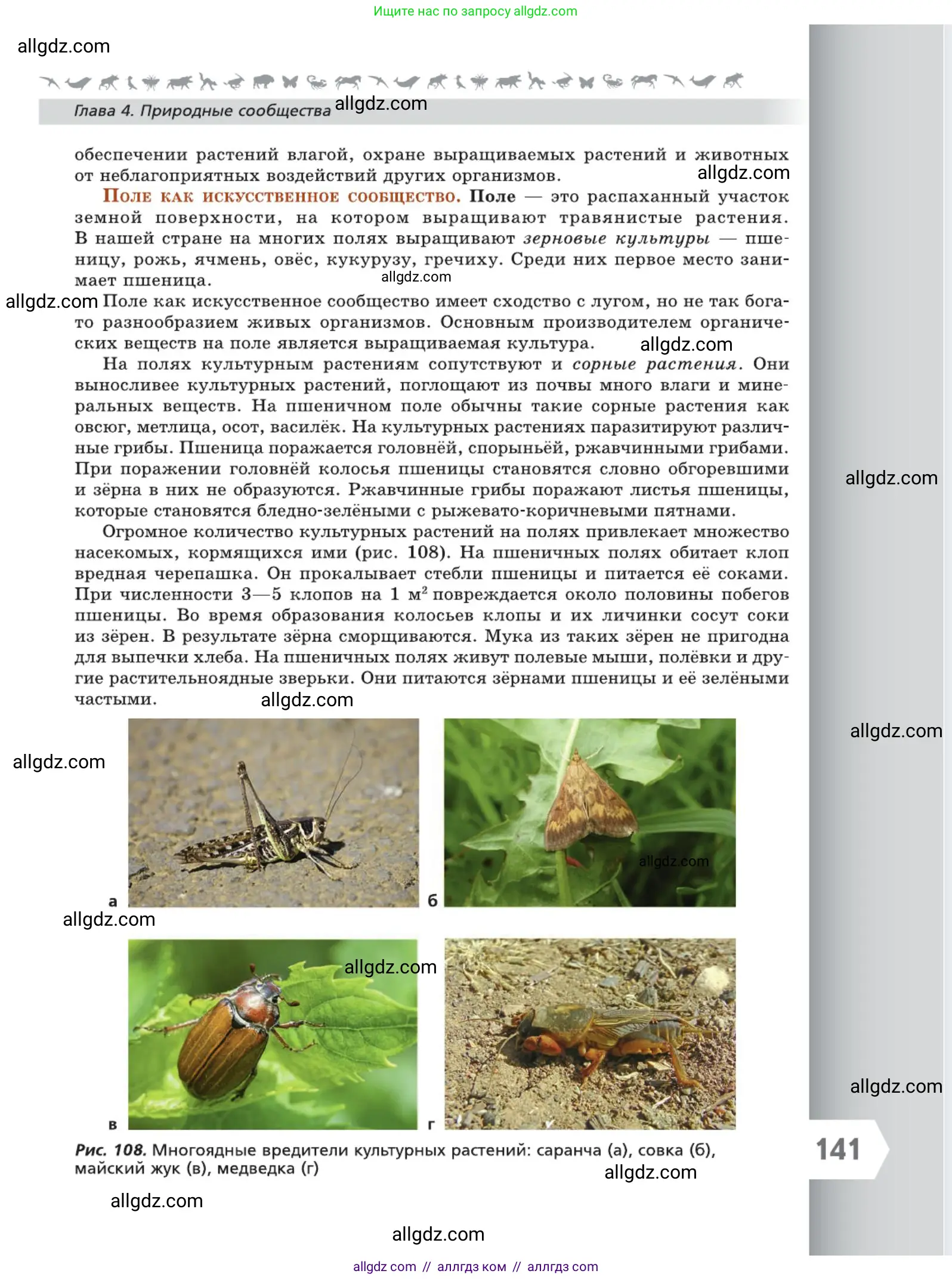 Биология, 5 класс Учебник, авторы: Пасечник Владимир Васильевич, Суматохин Сергей Витальевич, Гапонюк Зоя Георгиевна, Швецов Глеб Геннадьевич, издательство Просвещение, Москва, 2023, белого цвета, страница 141