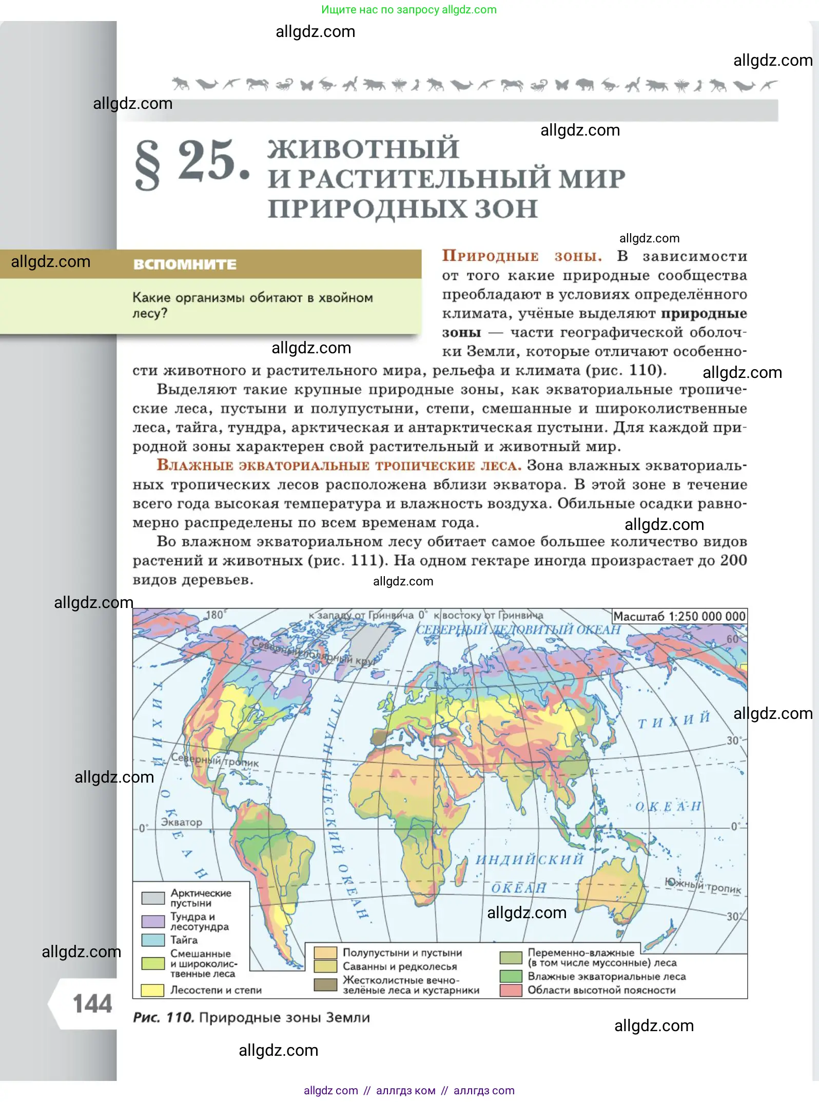 Биология, 5 класс Учебник, авторы: Пасечник Владимир Васильевич, Суматохин Сергей Витальевич, Гапонюк Зоя Георгиевна, Швецов Глеб Геннадьевич, издательство Просвещение, Москва, 2023, белого цвета, страница 144