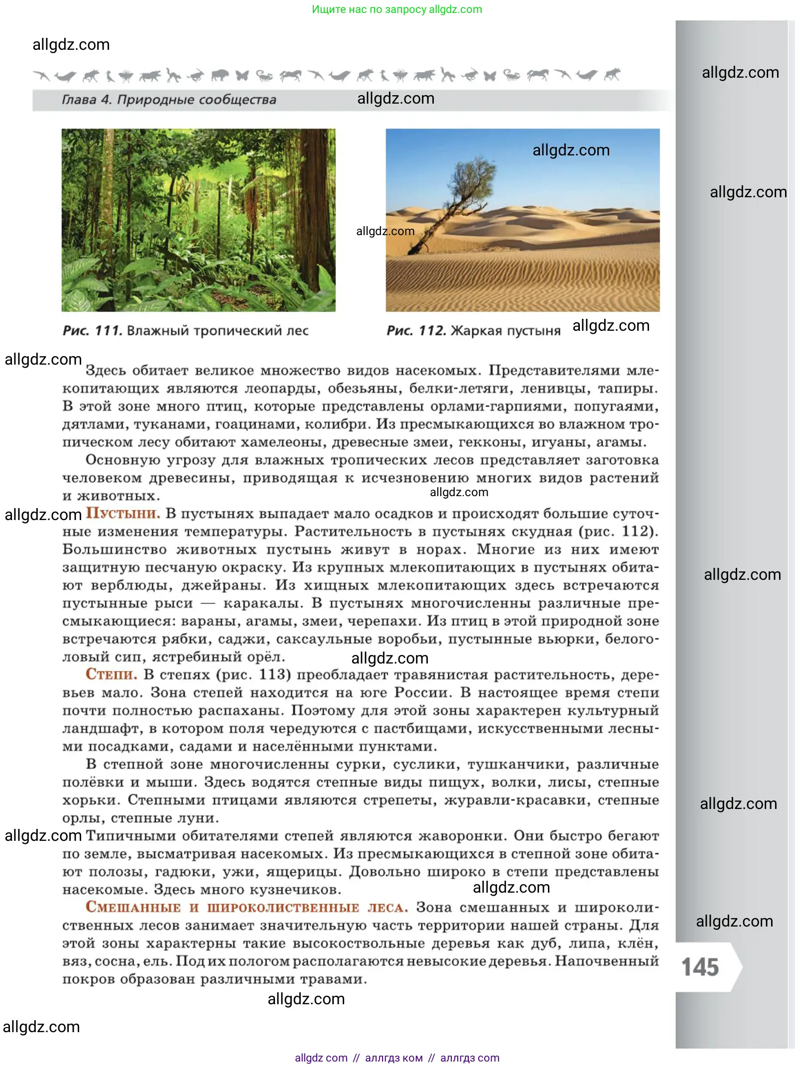 Биология, 5 класс Учебник, авторы: Пасечник Владимир Васильевич, Суматохин Сергей Витальевич, Гапонюк Зоя Георгиевна, Швецов Глеб Геннадьевич, издательство Просвещение, Москва, 2023, белого цвета, страница 145