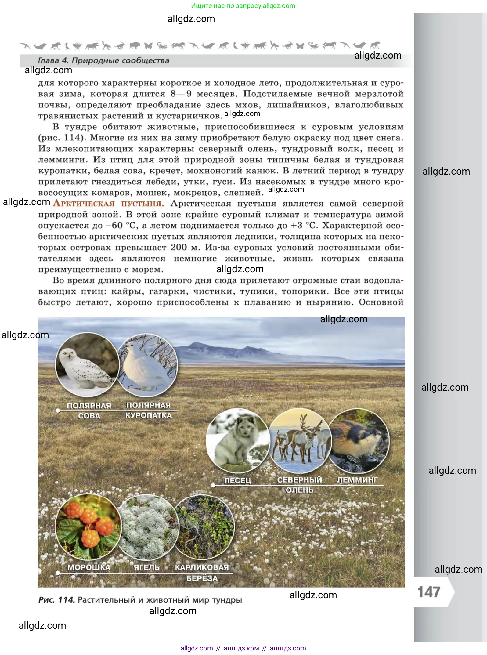 Биология, 5 класс Учебник, авторы: Пасечник Владимир Васильевич, Суматохин Сергей Витальевич, Гапонюк Зоя Георгиевна, Швецов Глеб Геннадьевич, издательство Просвещение, Москва, 2023, белого цвета, страница 147